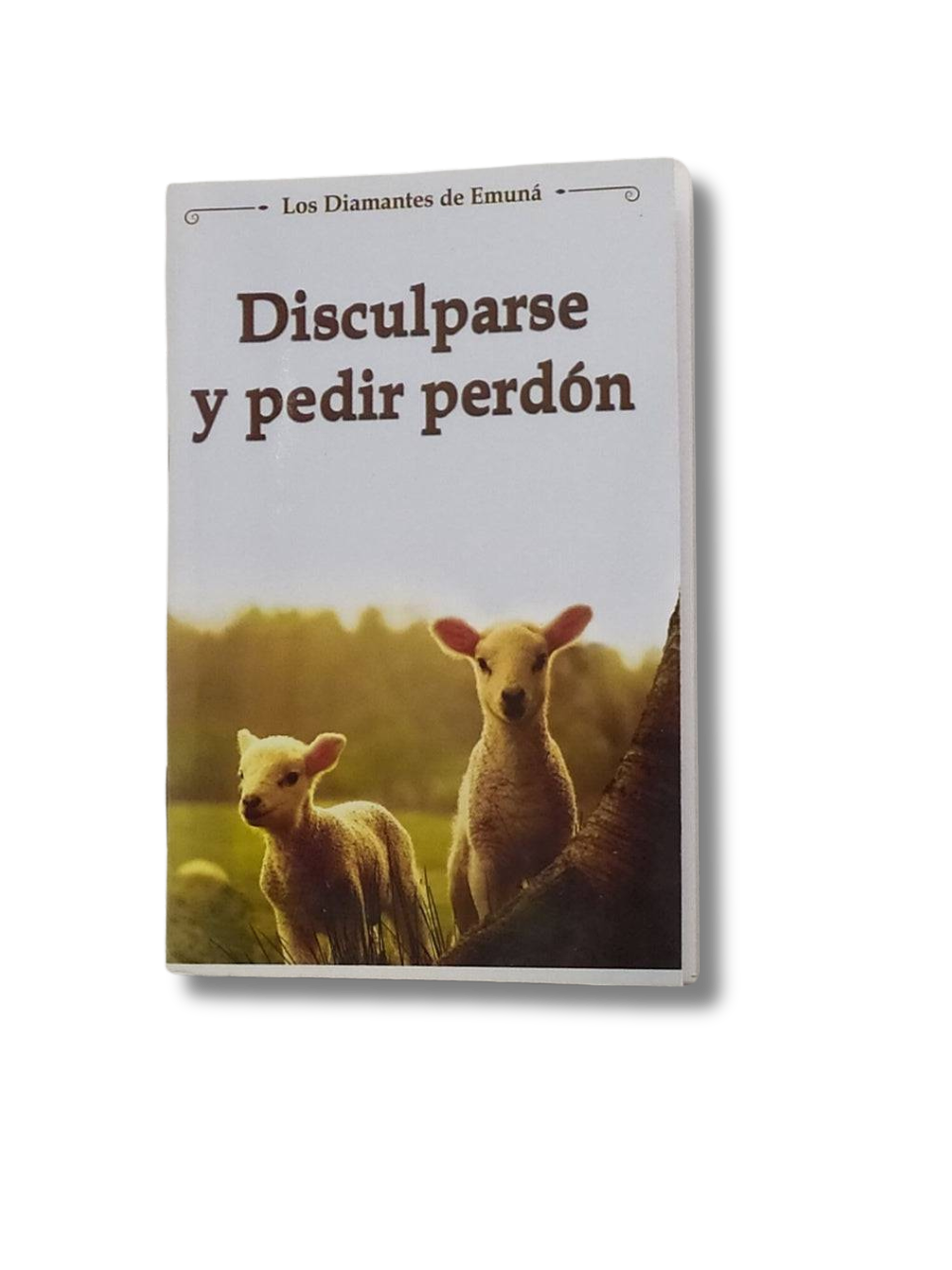 Las Joyitas, Disculparse y Pedir Perdon