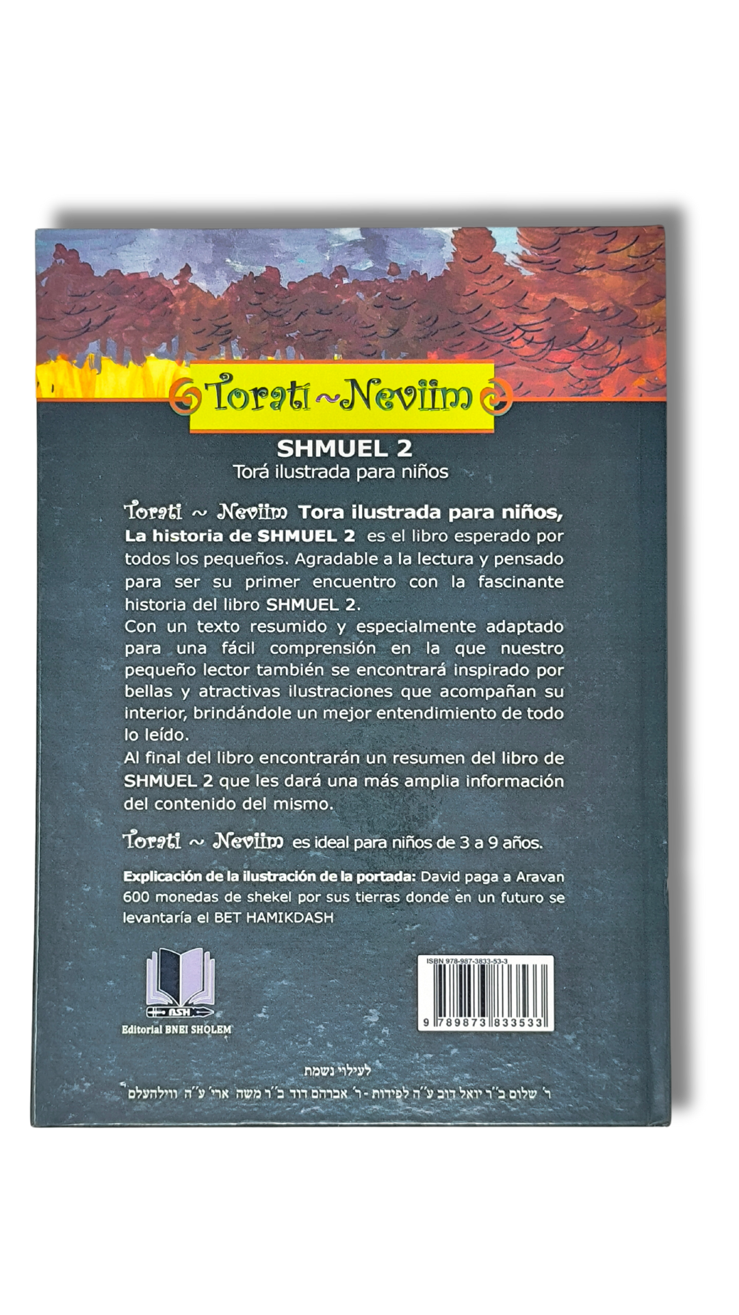 Torati Neviim 12 (Illustrated Torah for Children Shmuel 2)