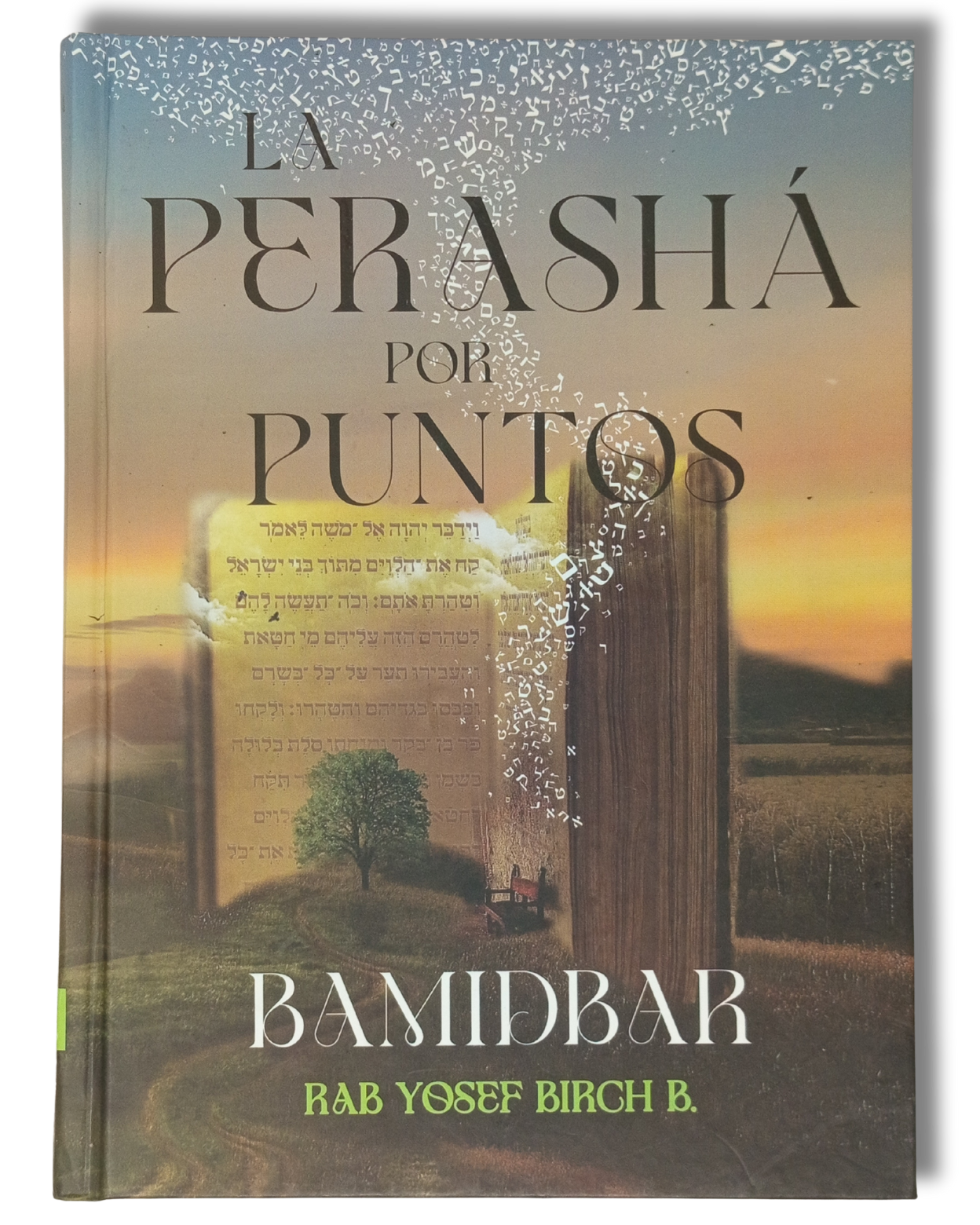 La Perasha por Puntos Bamidbar