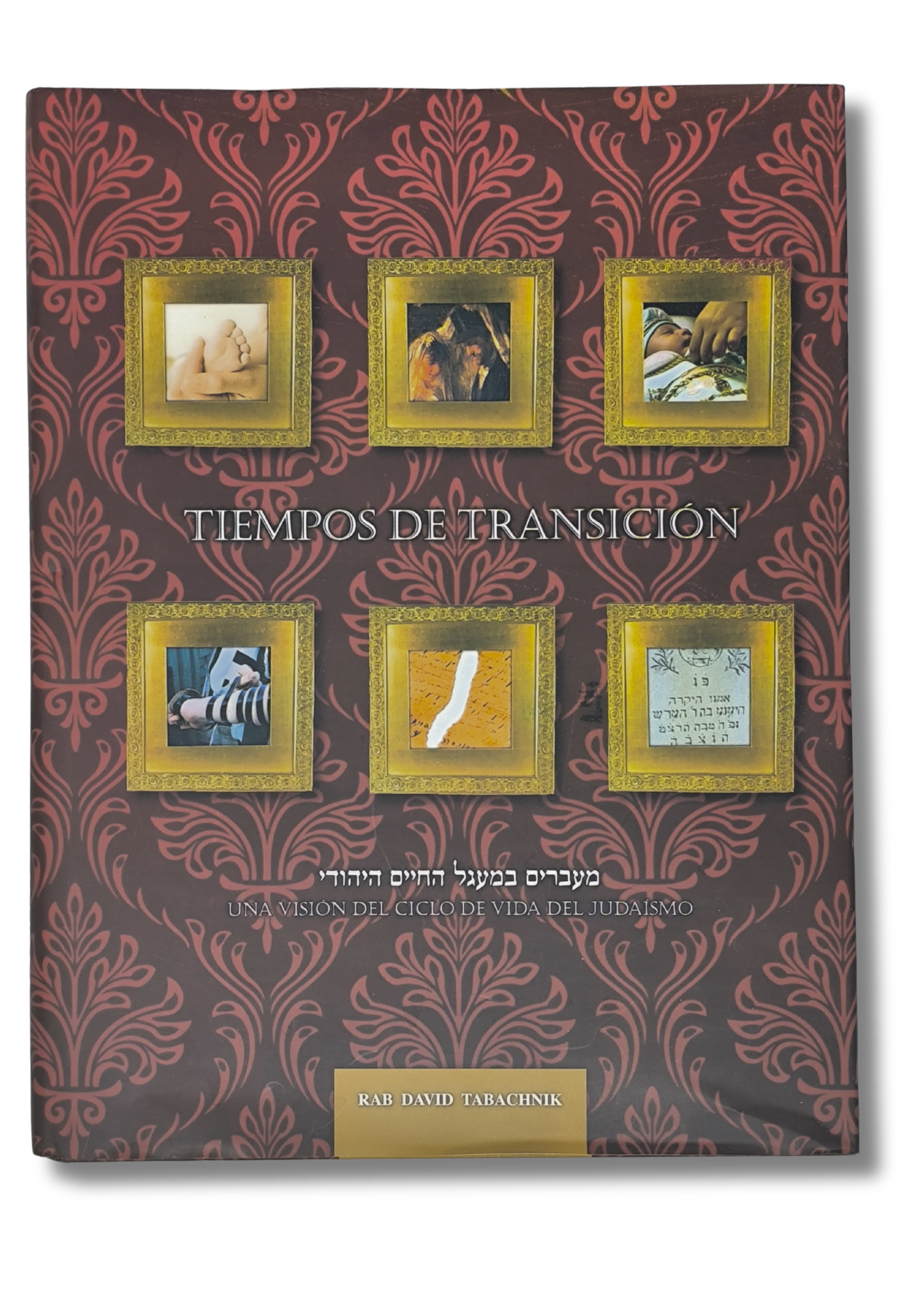 Tiempos de Transicion 12579