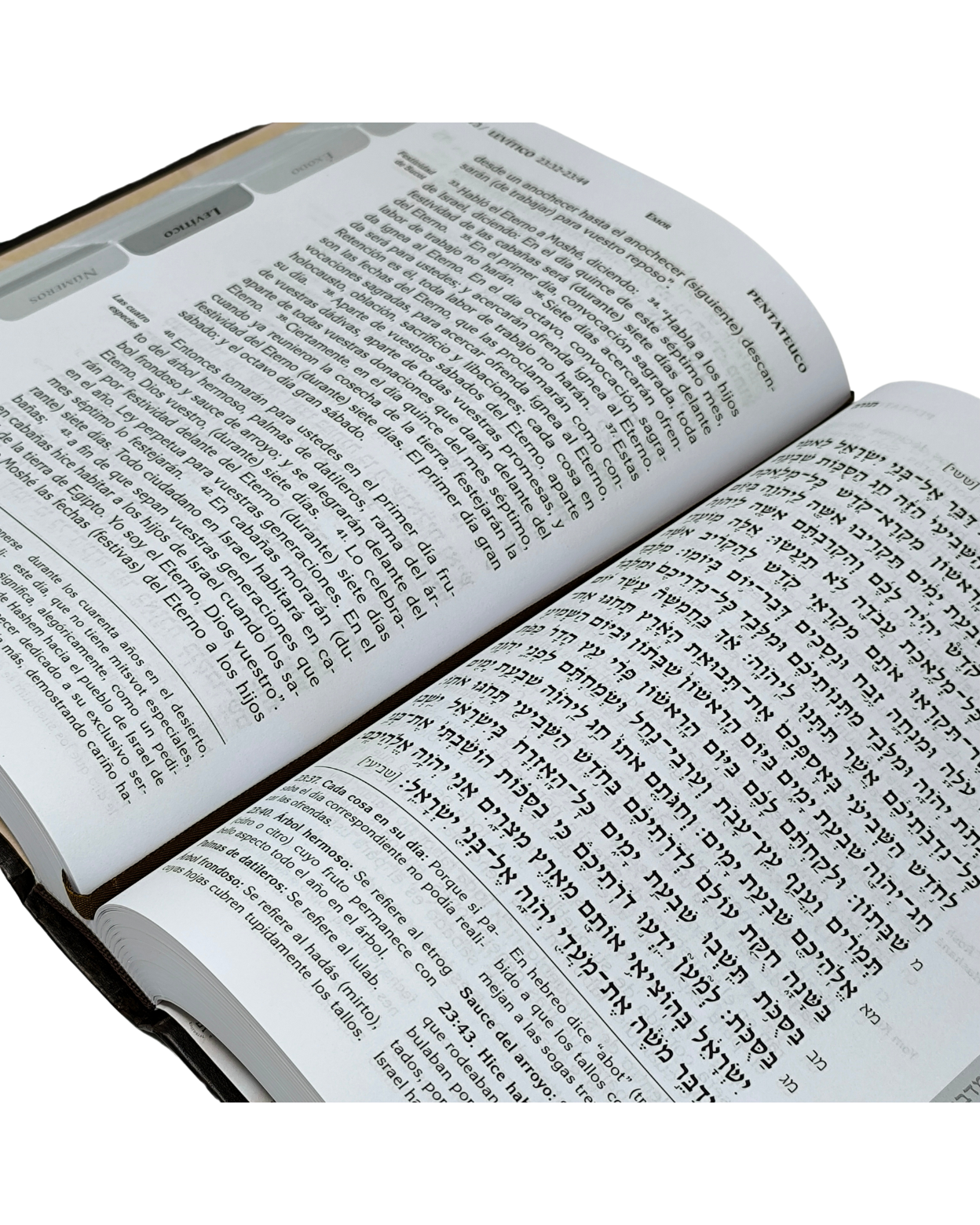 Biblia Tanaj Katz Set/Juego 4 tomos