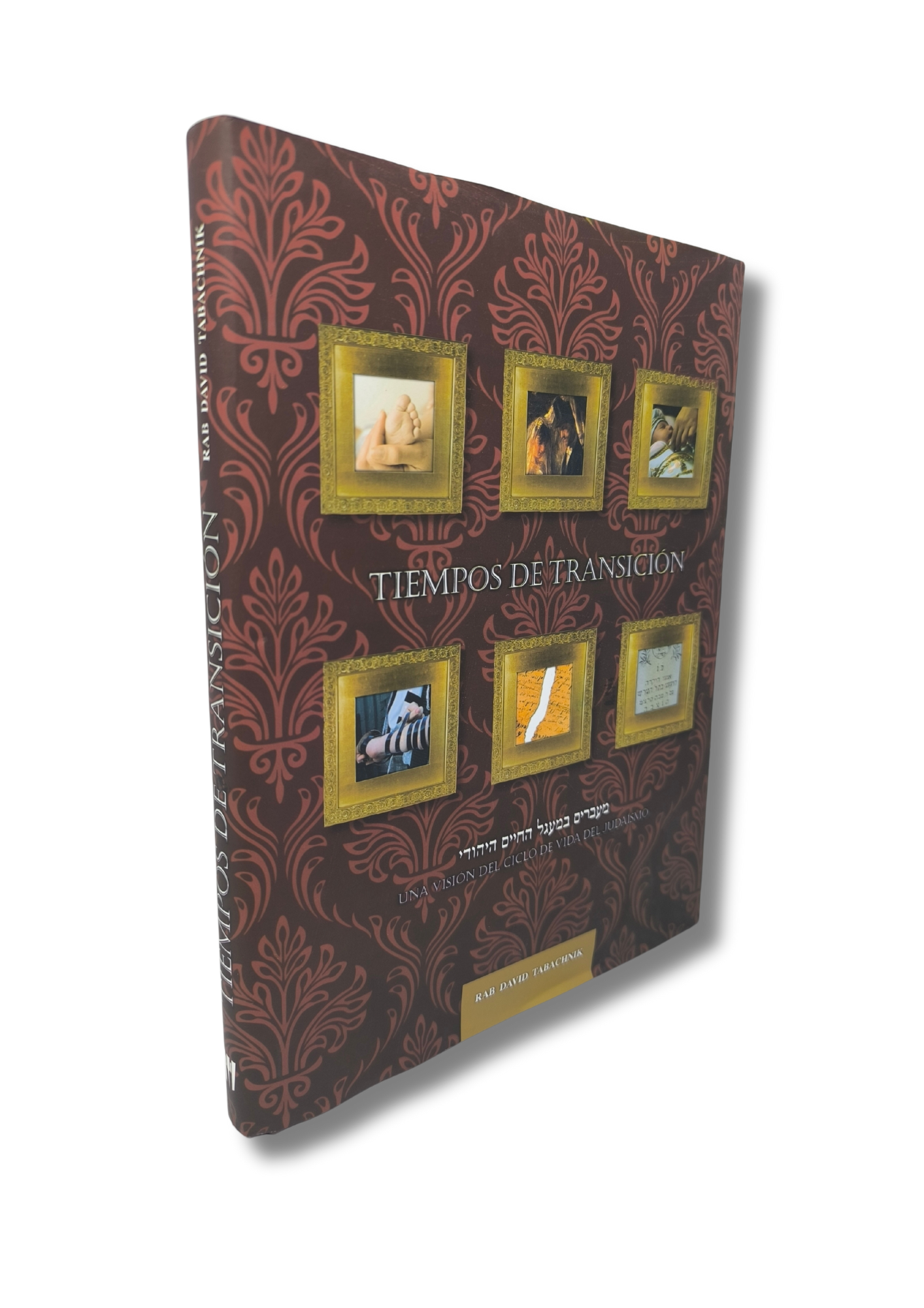 Tiempos de Transicion 12579