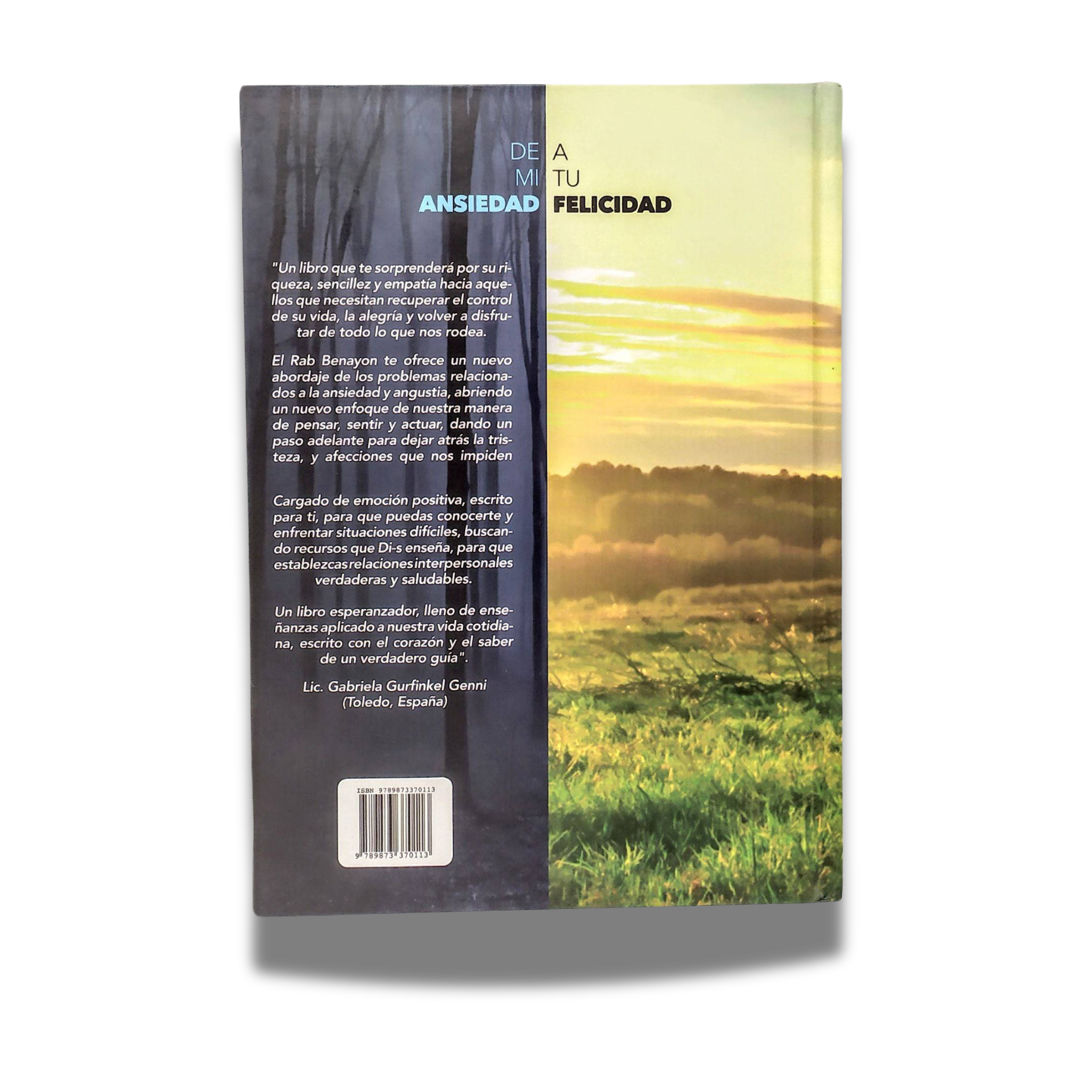 From My Anxiety To Your Happiness Hardcover