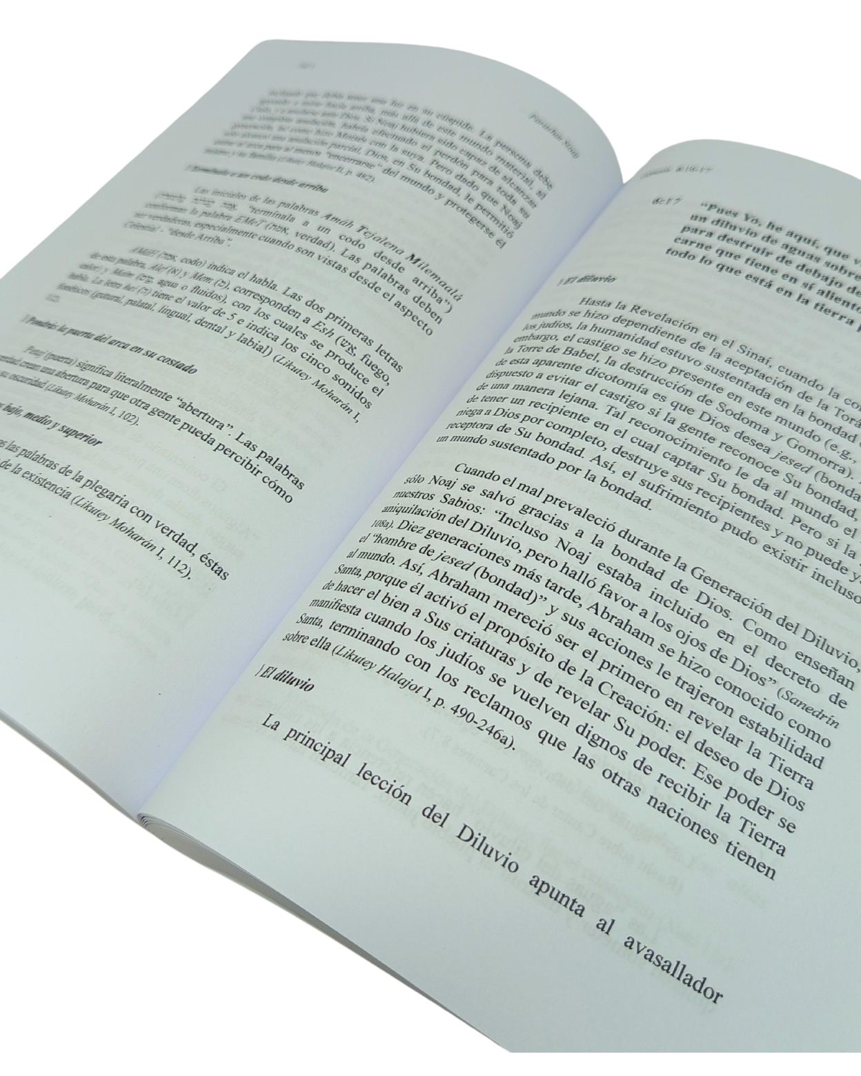 The Torah of Rebbe Nachman Bereshit, Volume 1