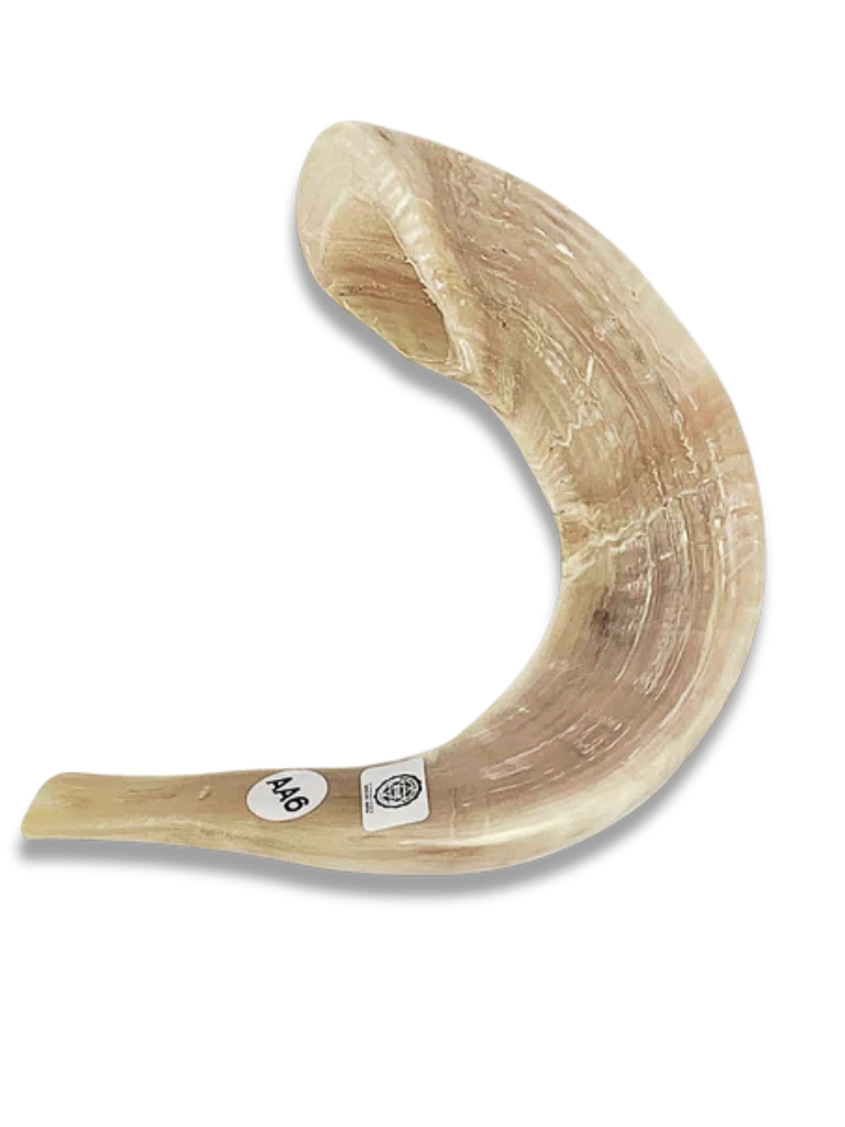 Ram Shofar A6