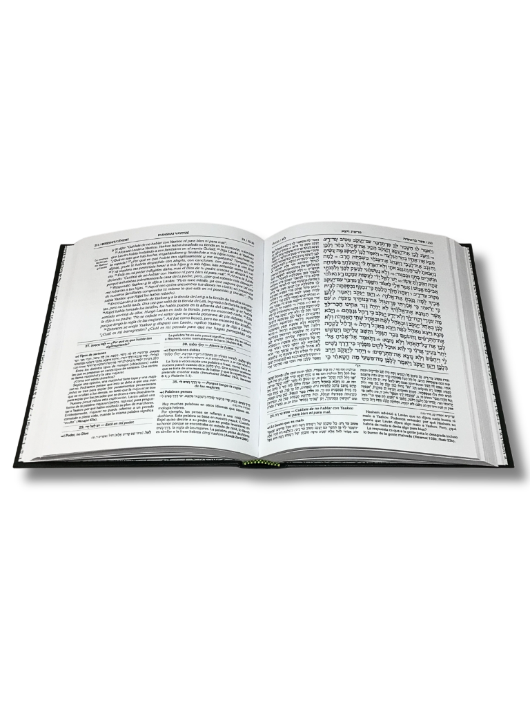 The Chumash Artscroll with the Midrash Bereshit