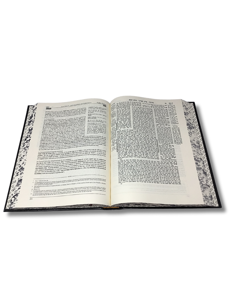 Talmud Tashema Baba Kama tomo 3, grande (52)