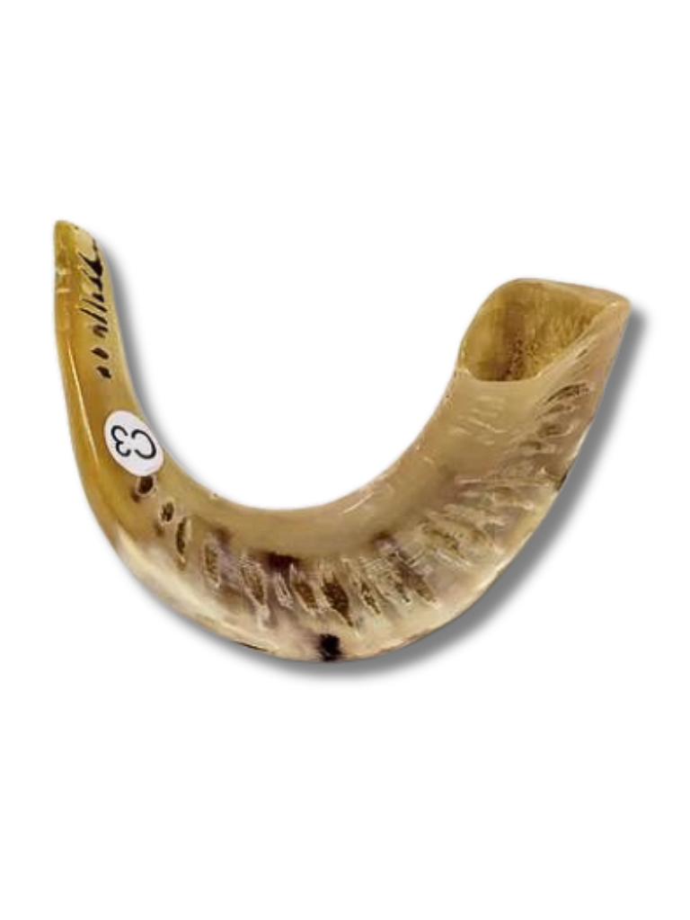 Shofar carnero C3