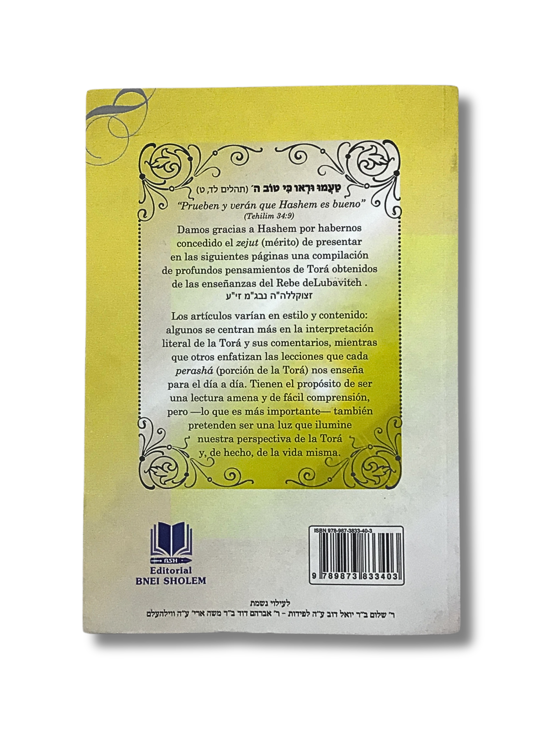 Glimpses of the Parasha, Volume 1