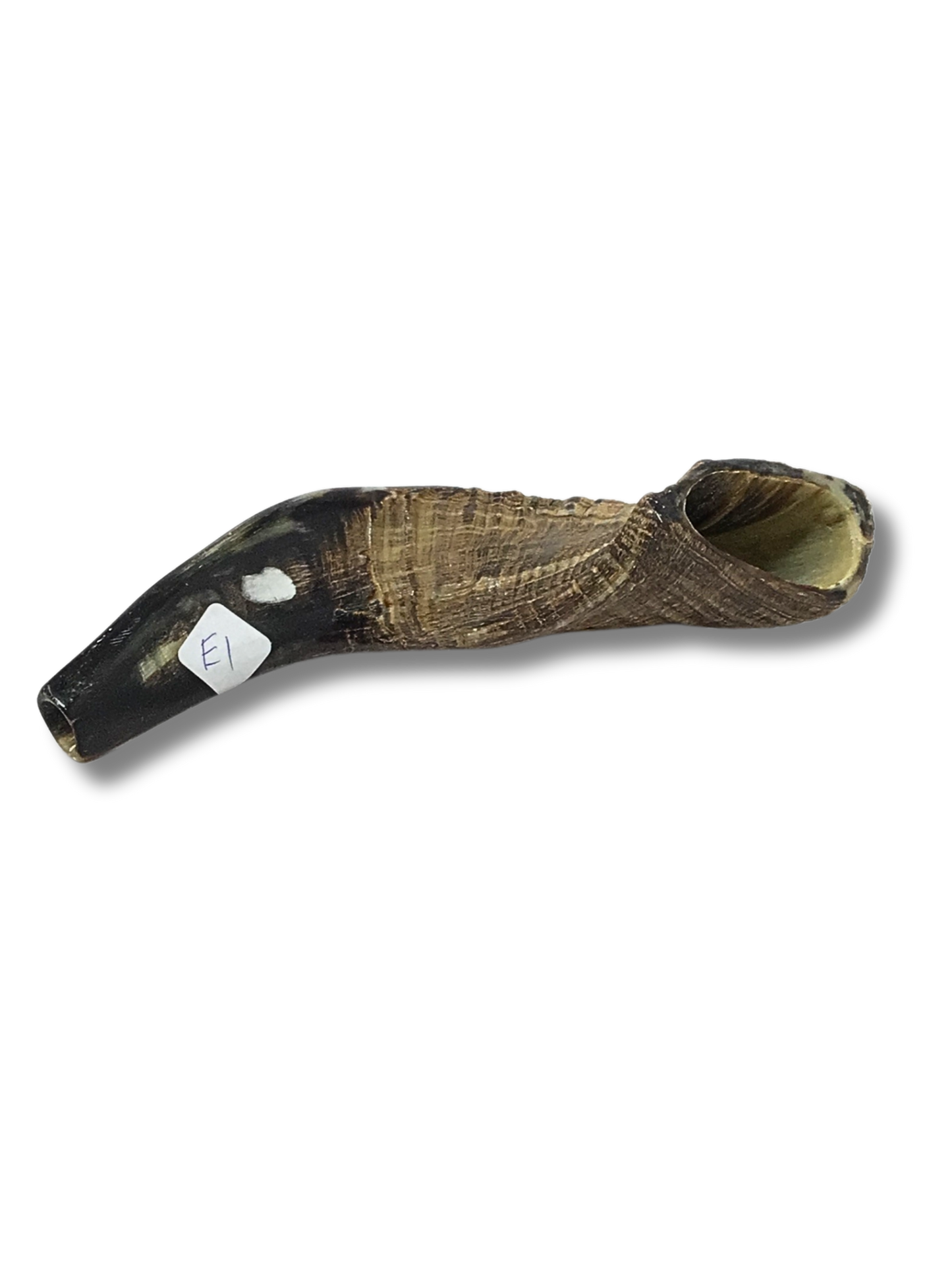 Shofar carnero E1