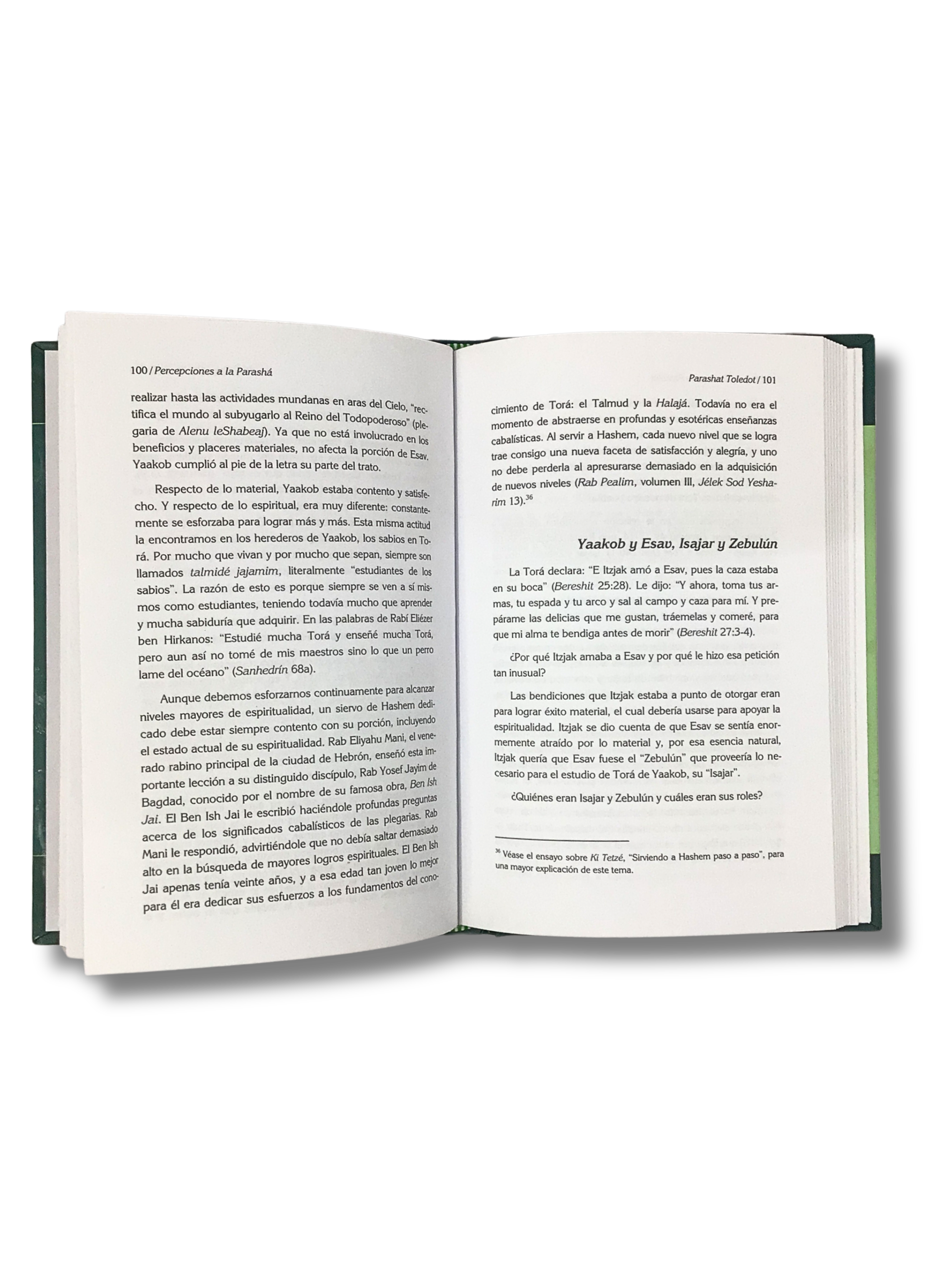 Sefer Bereshit Ladder of Light