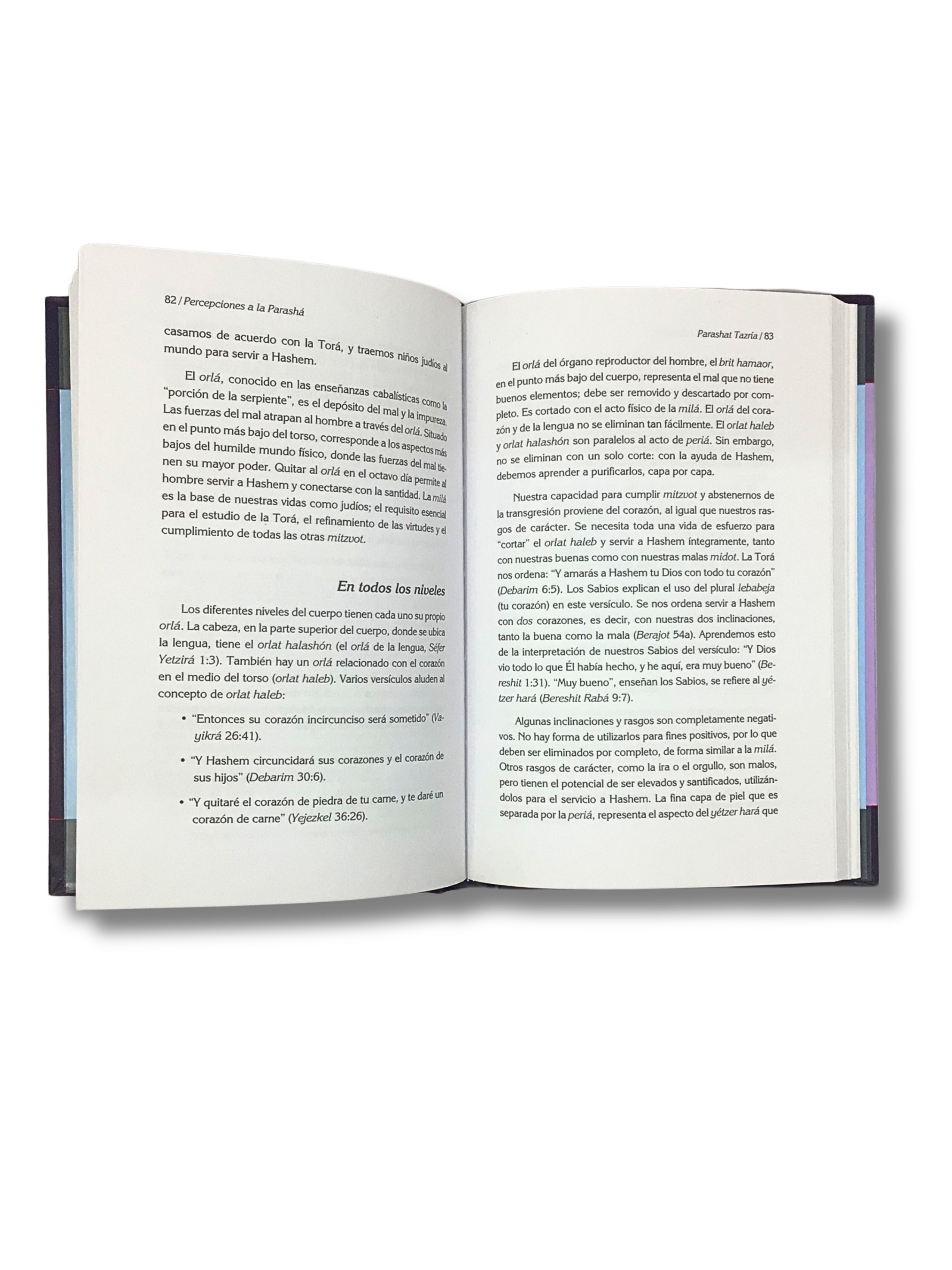 Sefer Vayikra Ladder of Light