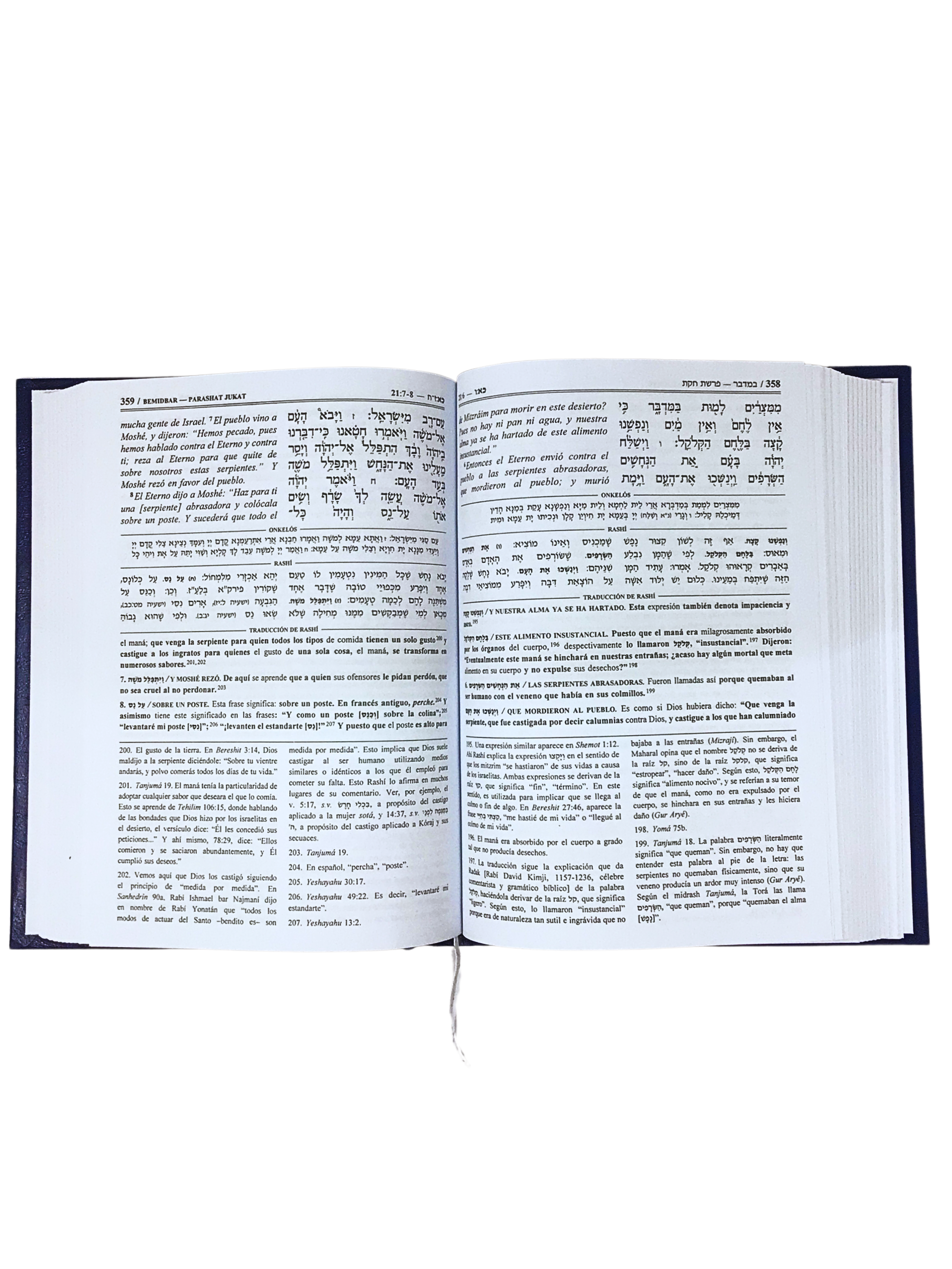 La Tora con Rashi Bamidbar