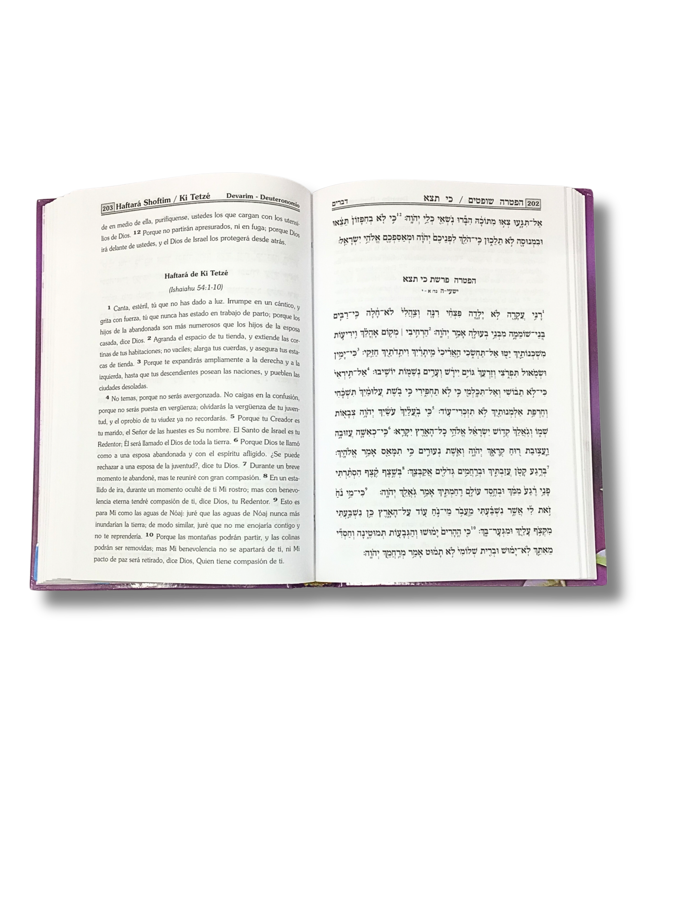 The Living Torah (Set 5 Volumes)