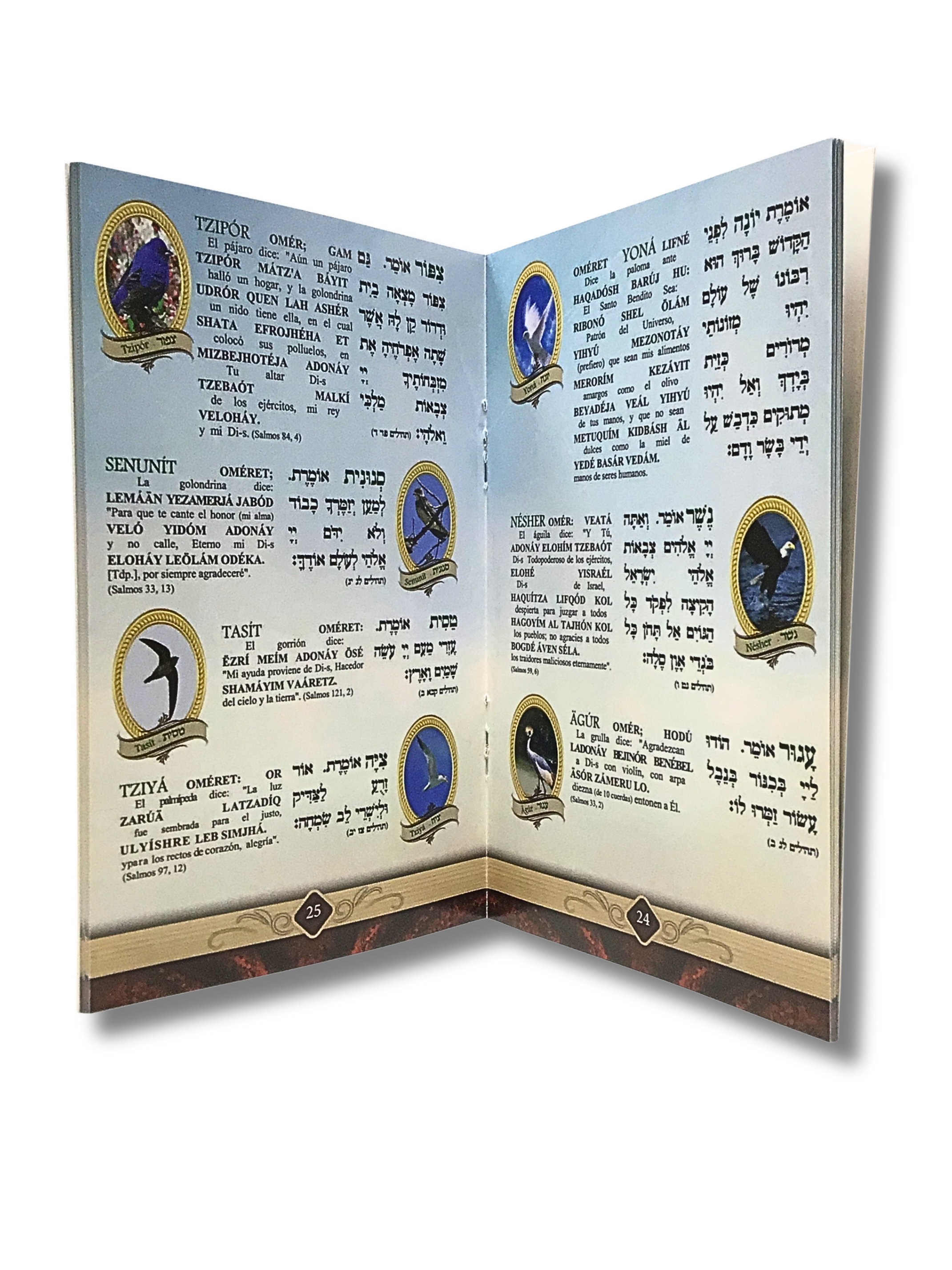 Pereq Shira The Song of Creation Shem Tob