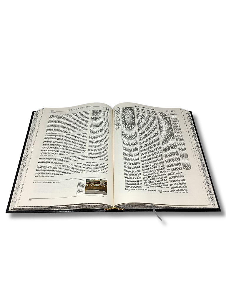 Talmud Tashema Sucá Tomo 1, grande (19)