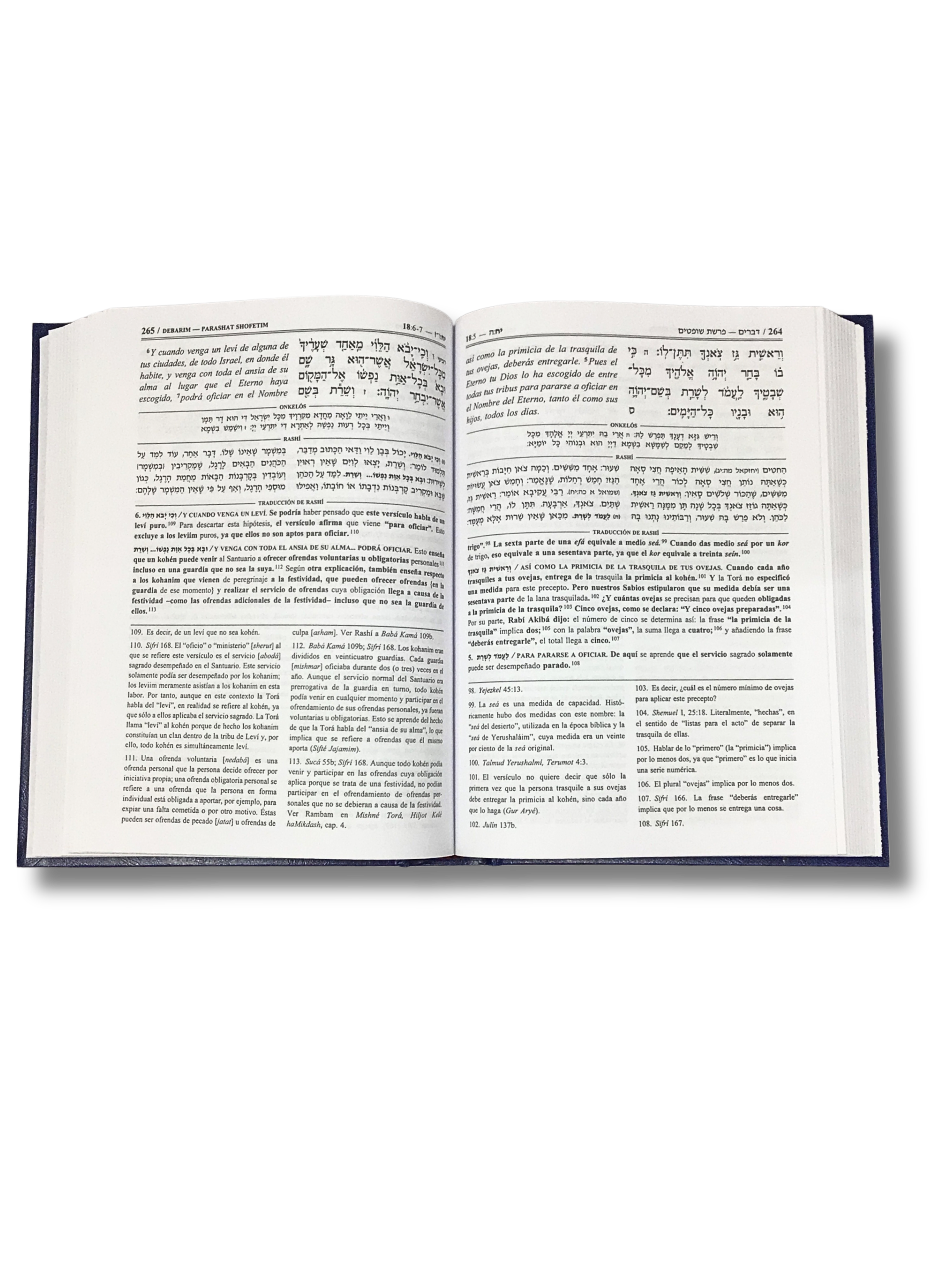 La Tora con Rashi Debarim