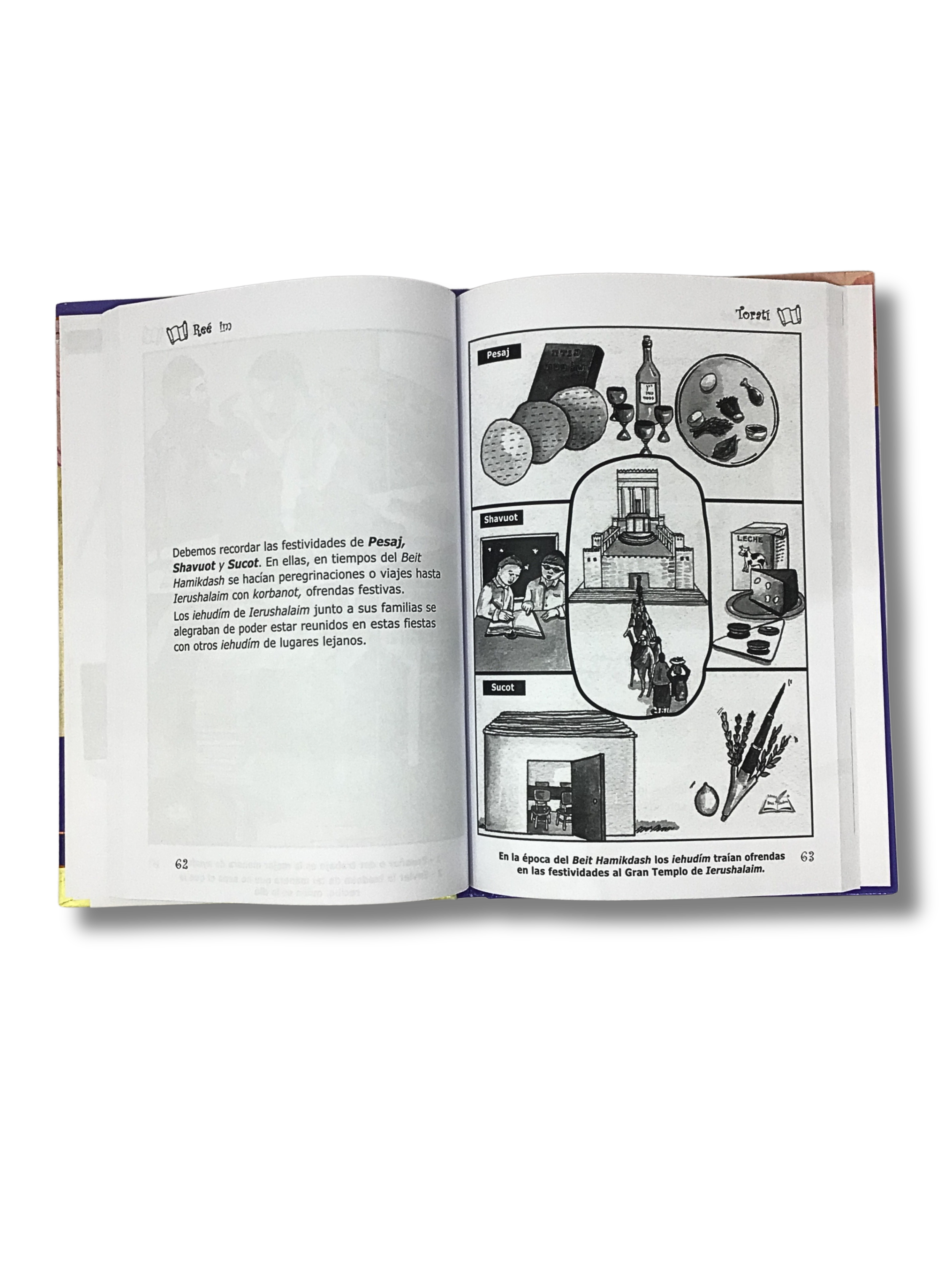 Torati Devarim volume 5 (Deuteronomy)