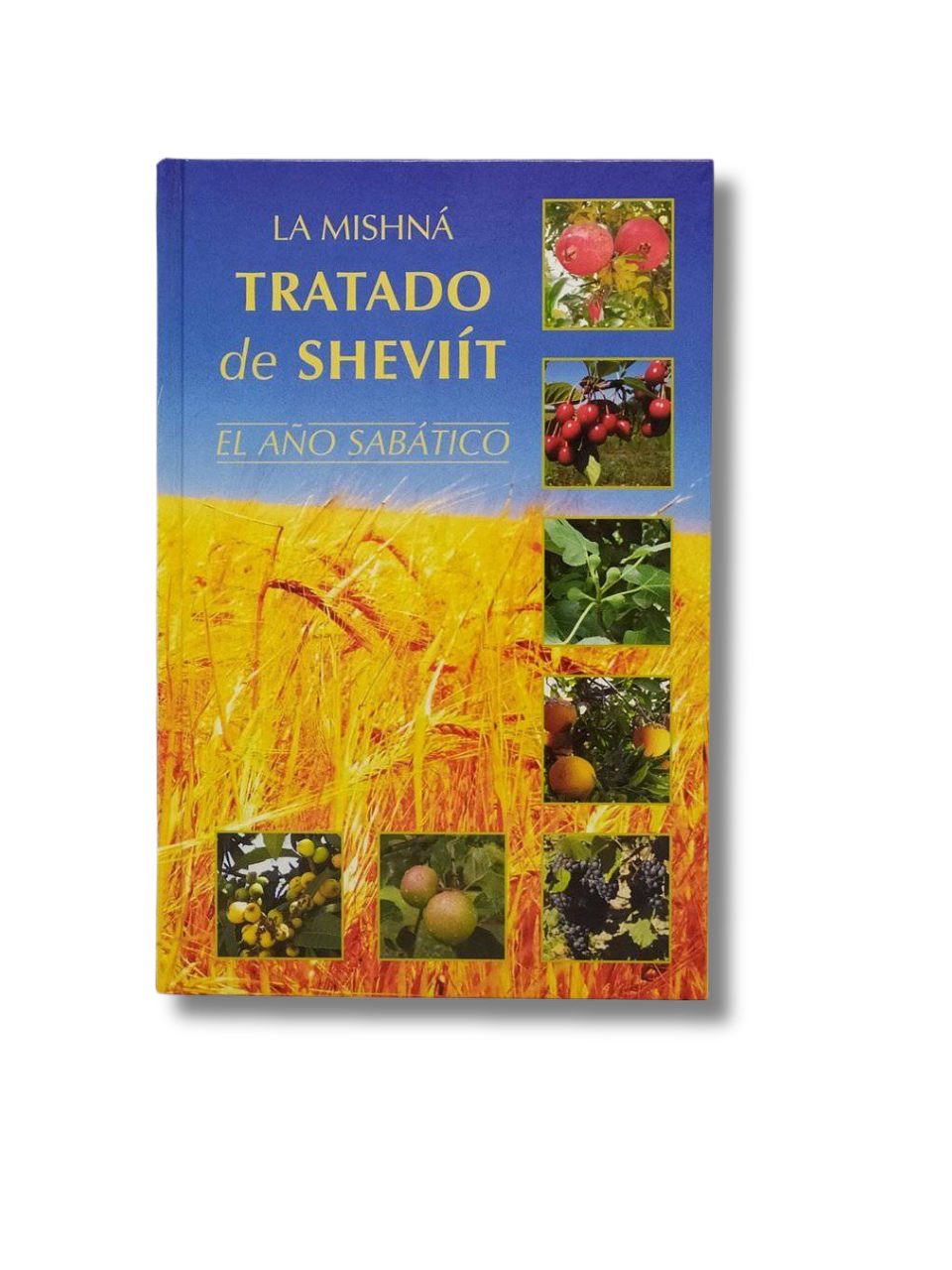 Tratado De Sheviit El Año Sabatico