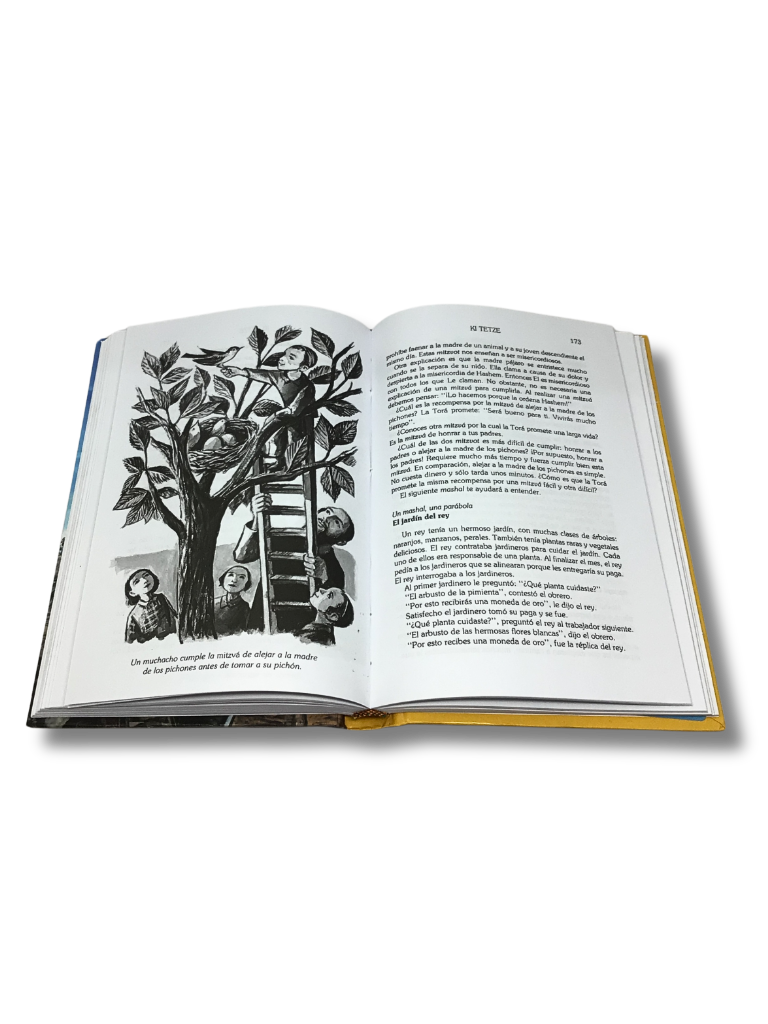 The Little Midrash Says, Devarim