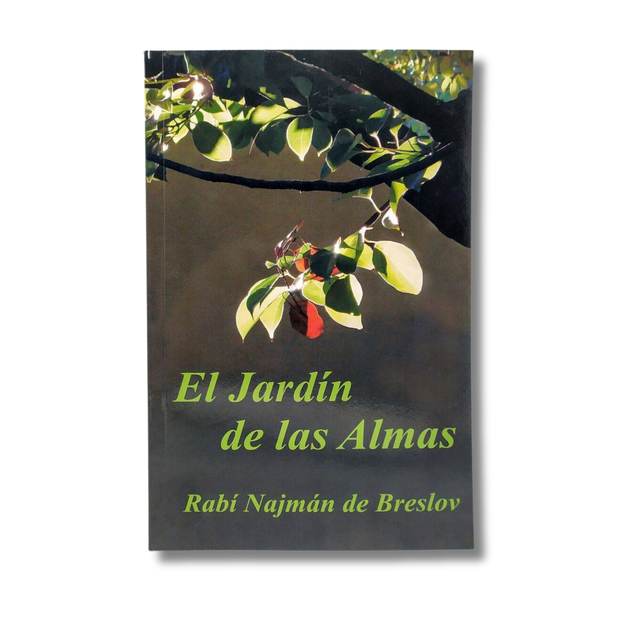 El jardín de las almas