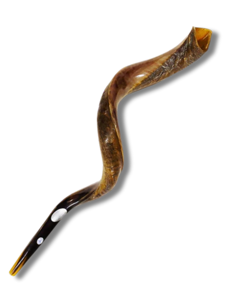 Shofar antilope extra jumbo