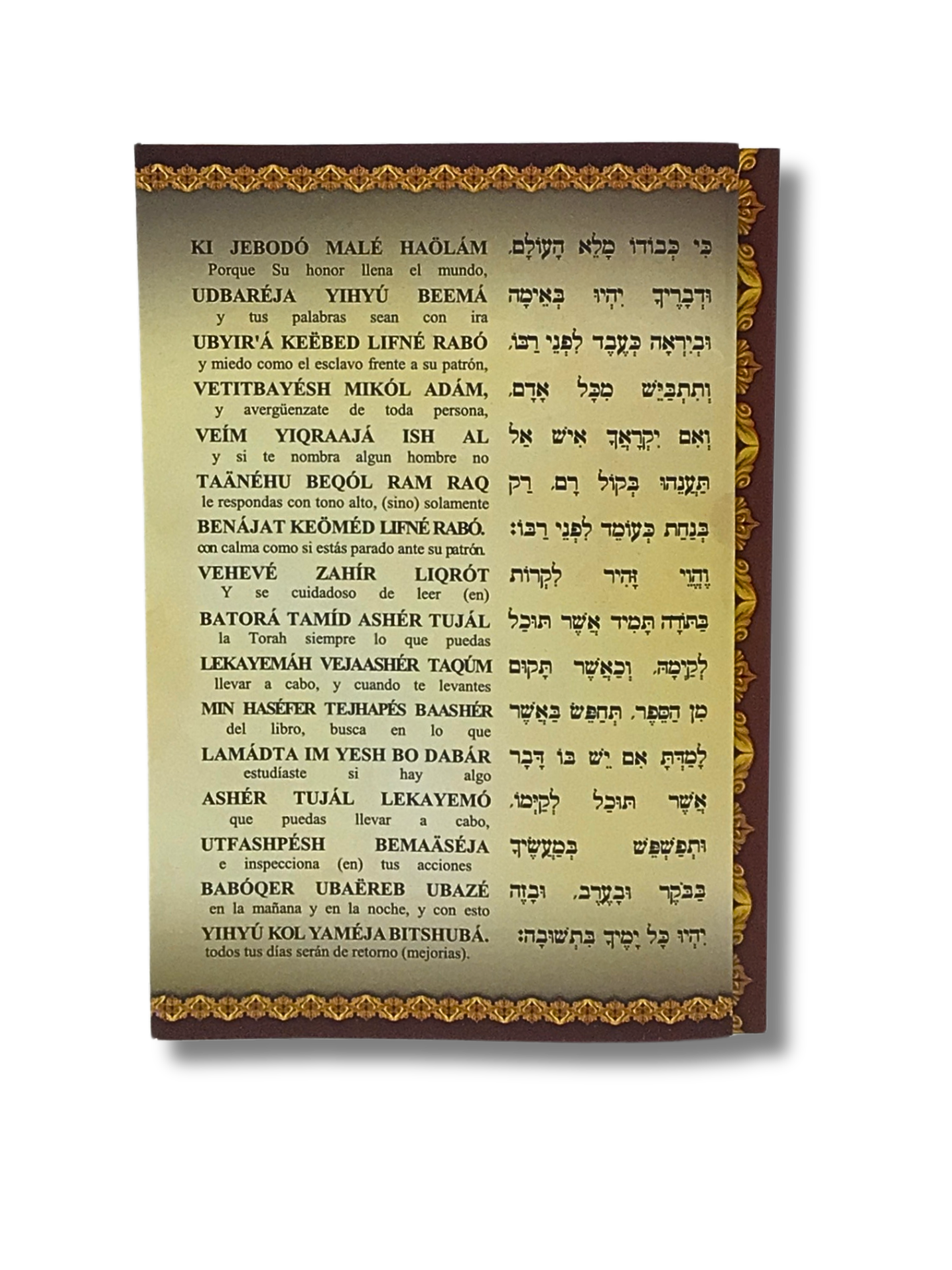 La Epistola Del Rambam Folleto Triptico 7462