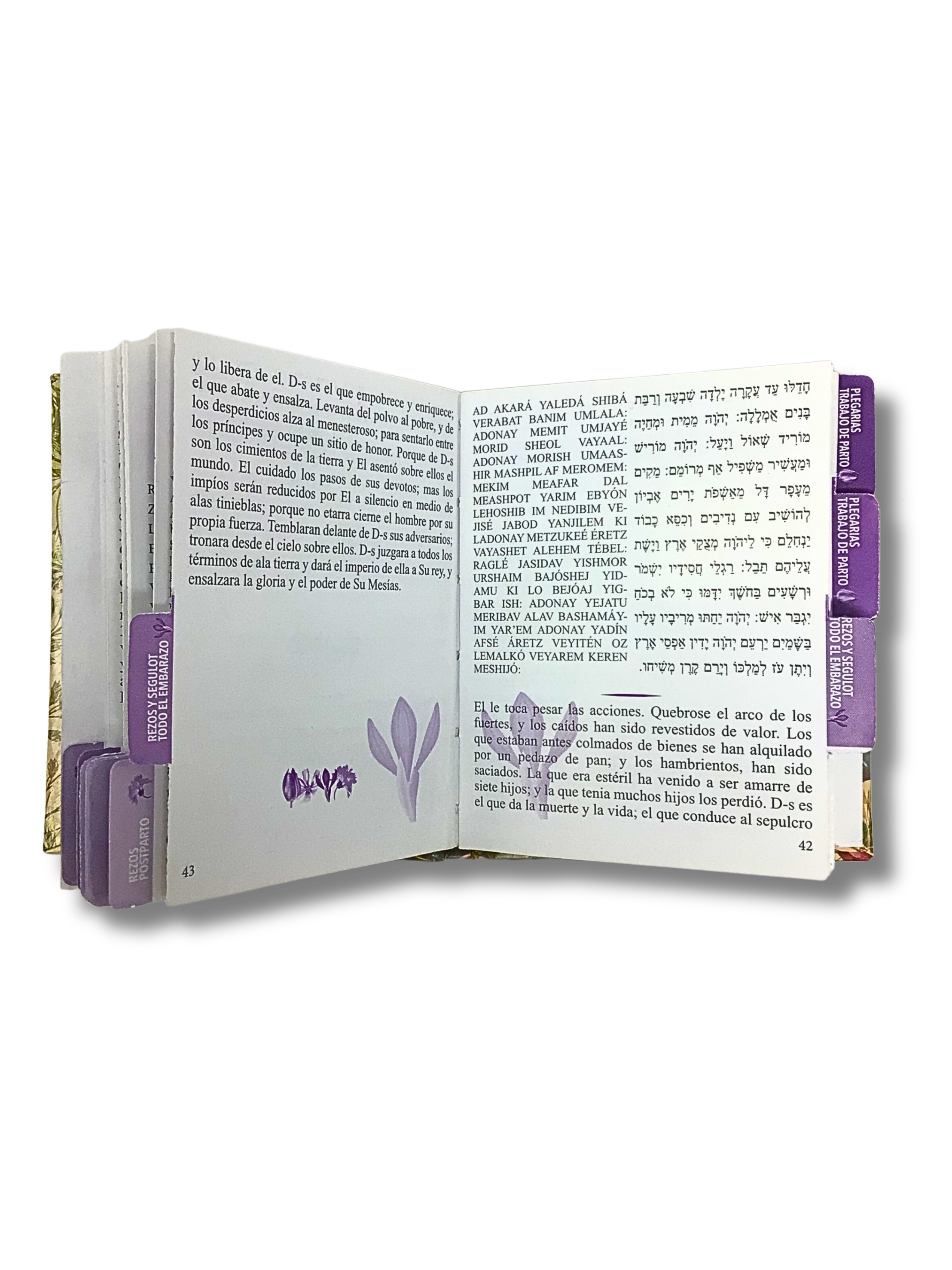 Segulot and Prayers for Pregnant Women Neshama Jadasha