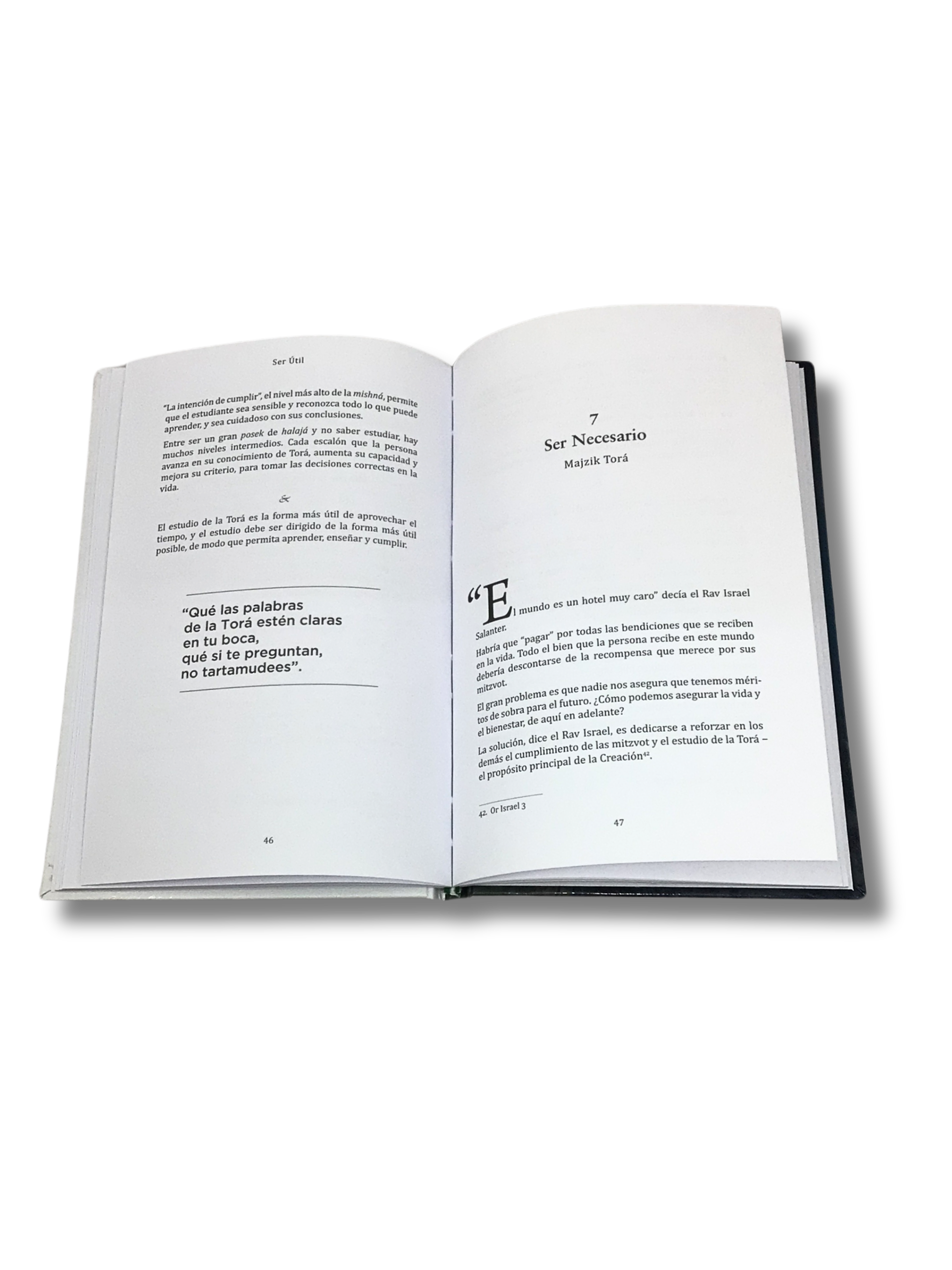 Be Useful, Rabbi Igal Snertz