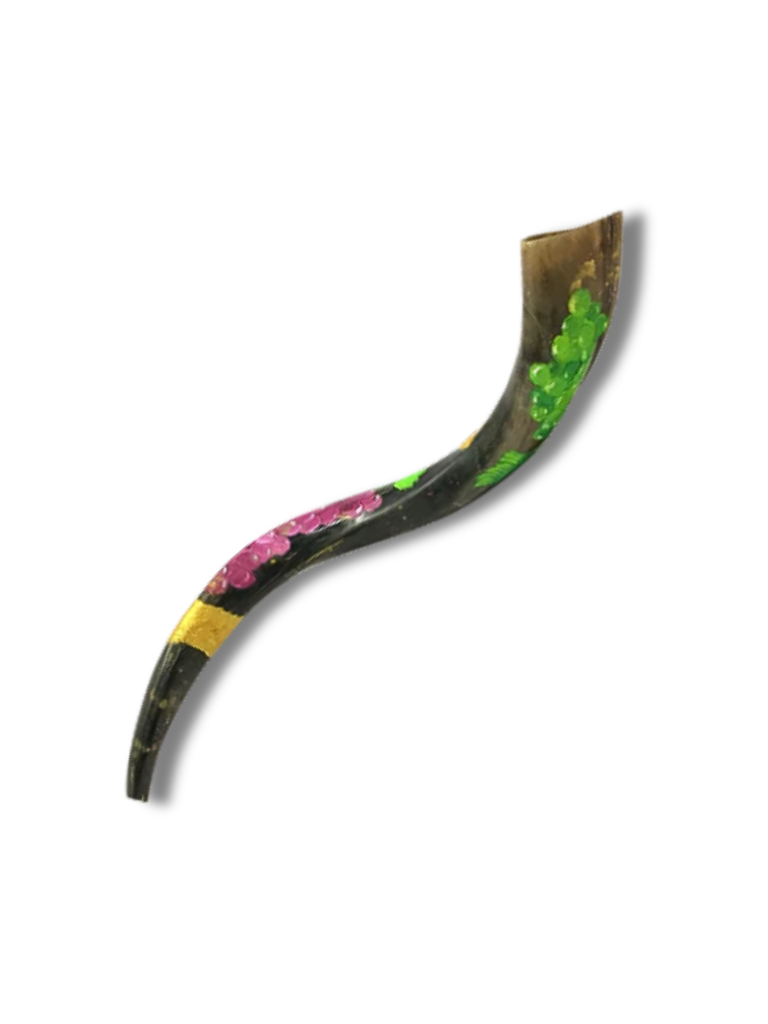 Shofar antilope small decorado artista famosa