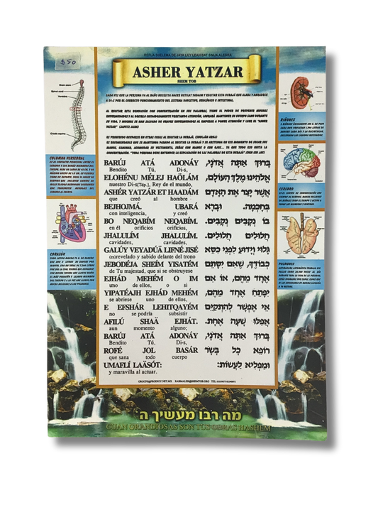 Asher Yatzar poster mediano 2345