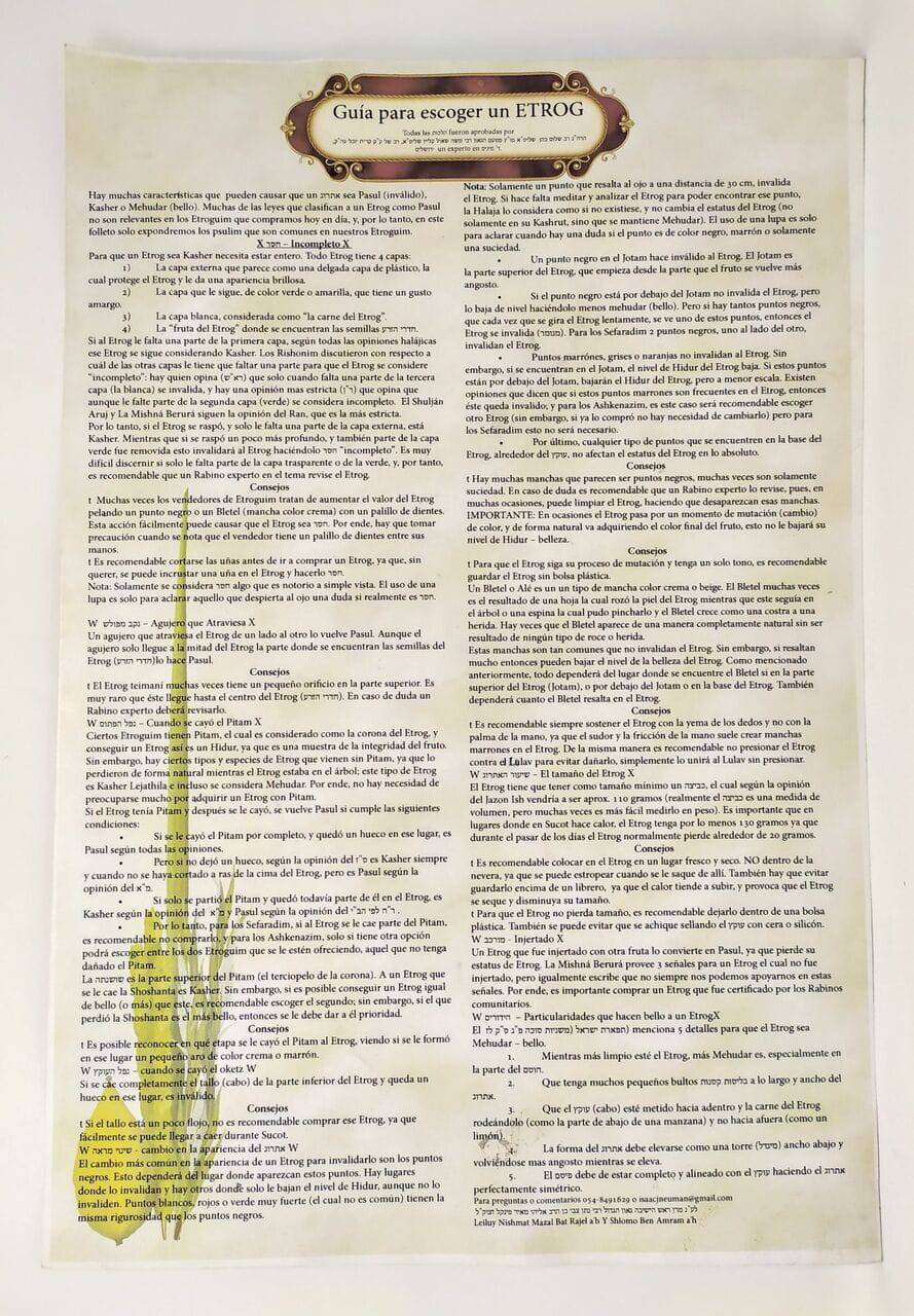 Poster tamaño grande guía para escoger un Etrog - Libreria Jerusalem Centro