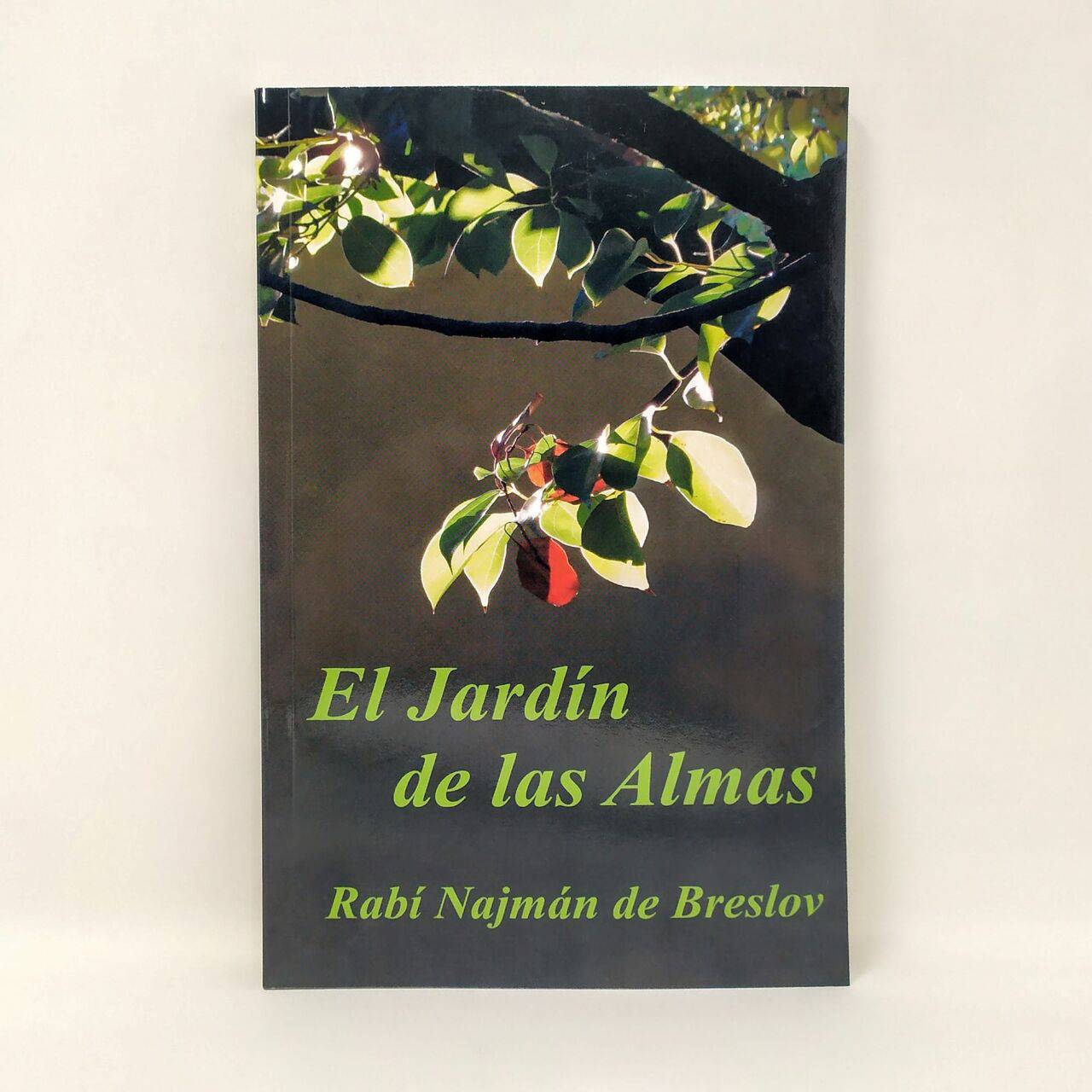 El jardín de las almas - Libreria Jerusalem Centro