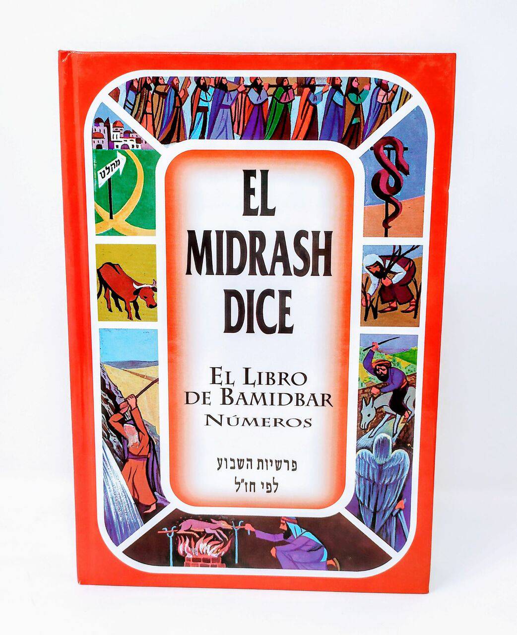 El Midrash Dice Bamidbar - Libreria Jerusalem Centro