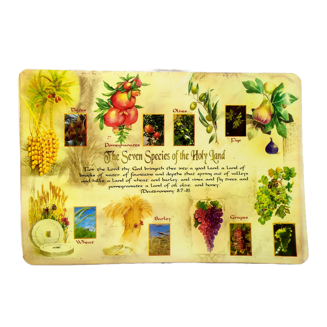 Mantel flora Israel para mesa 903427-37