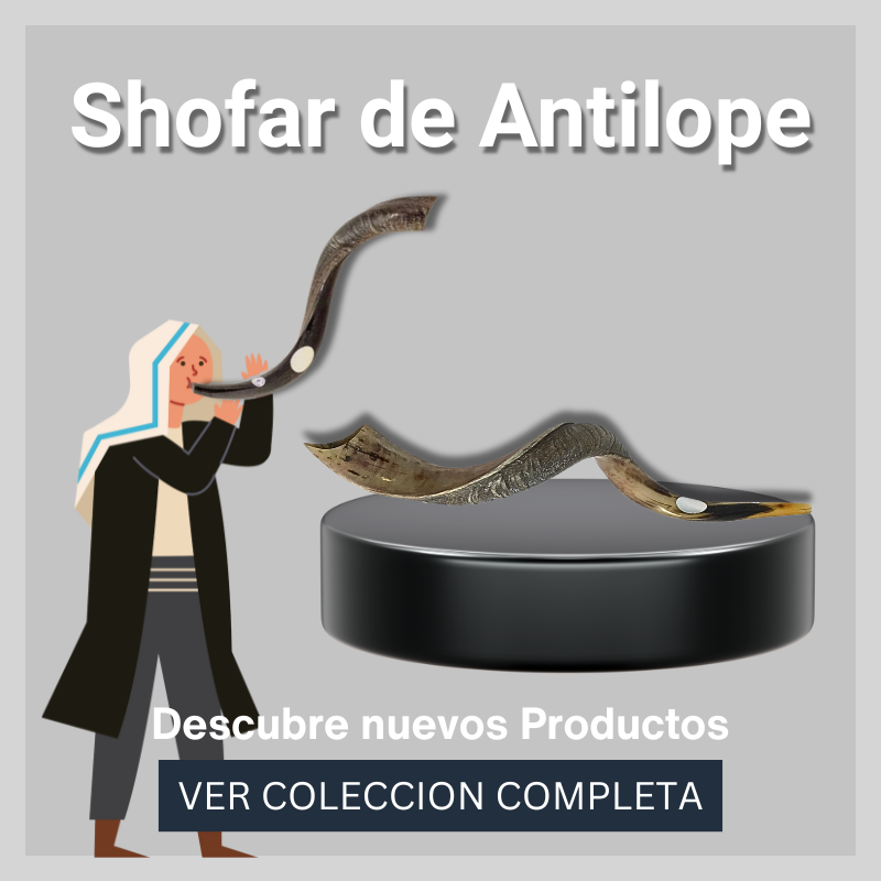 Shofar de Antilope