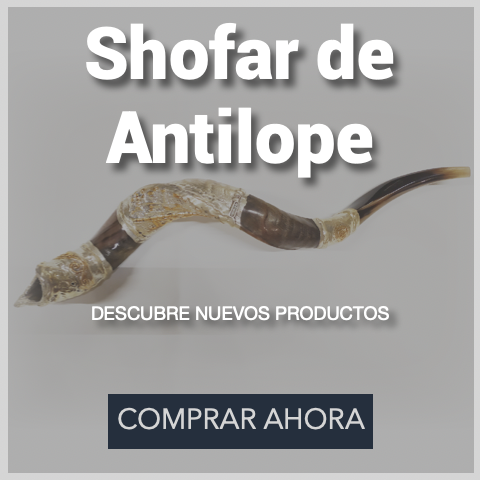 Shofar de Antilope