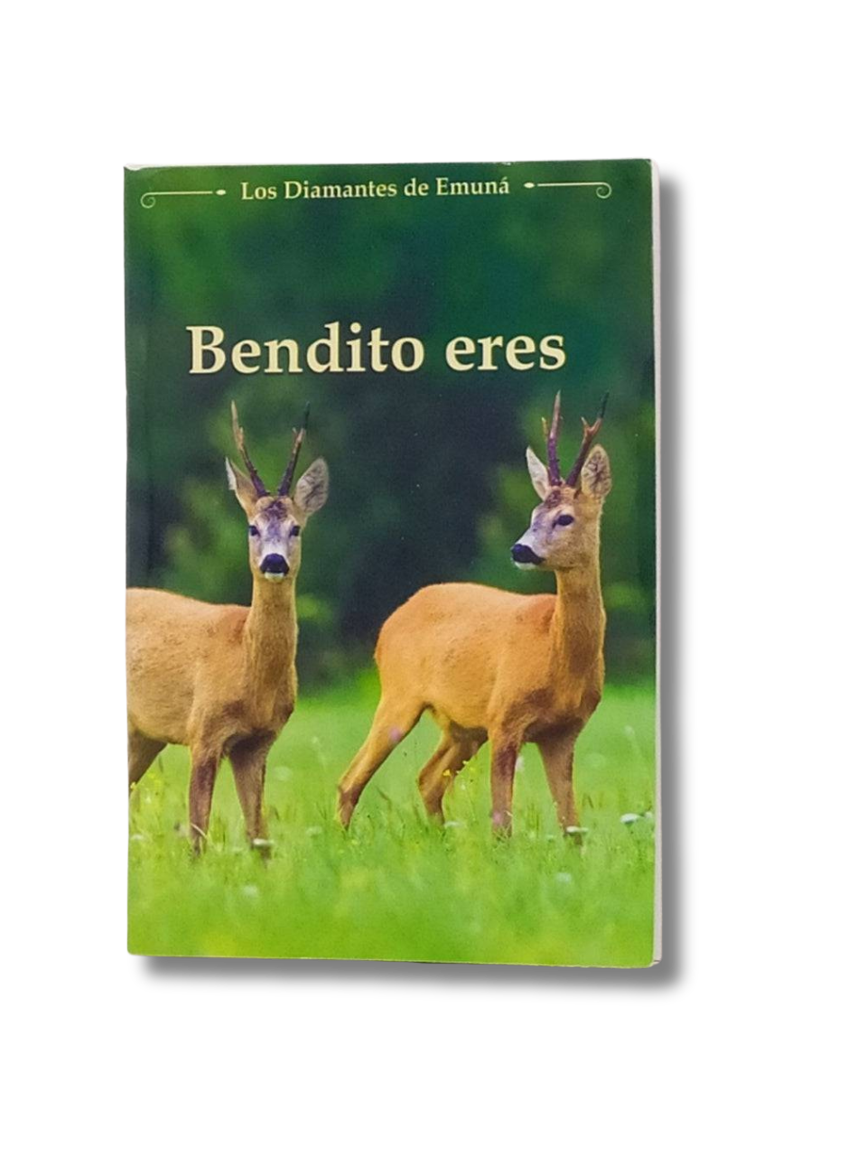 Las Joyitas, Bendito eres