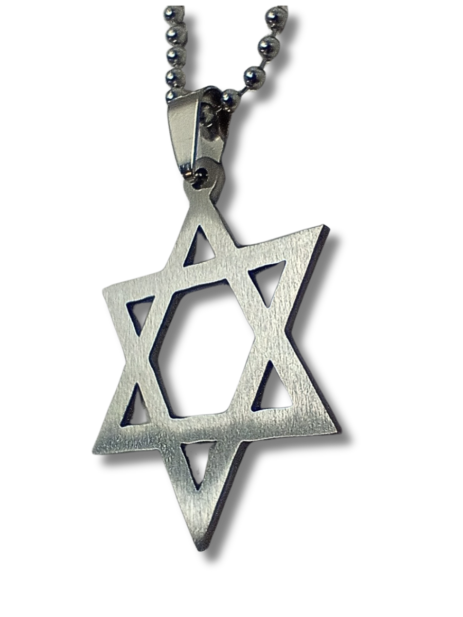 Stainless steel Magen David necklace 11082