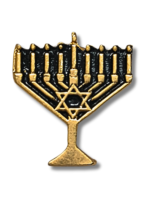 Girl's Hanukkah Pin with Magen David 11300