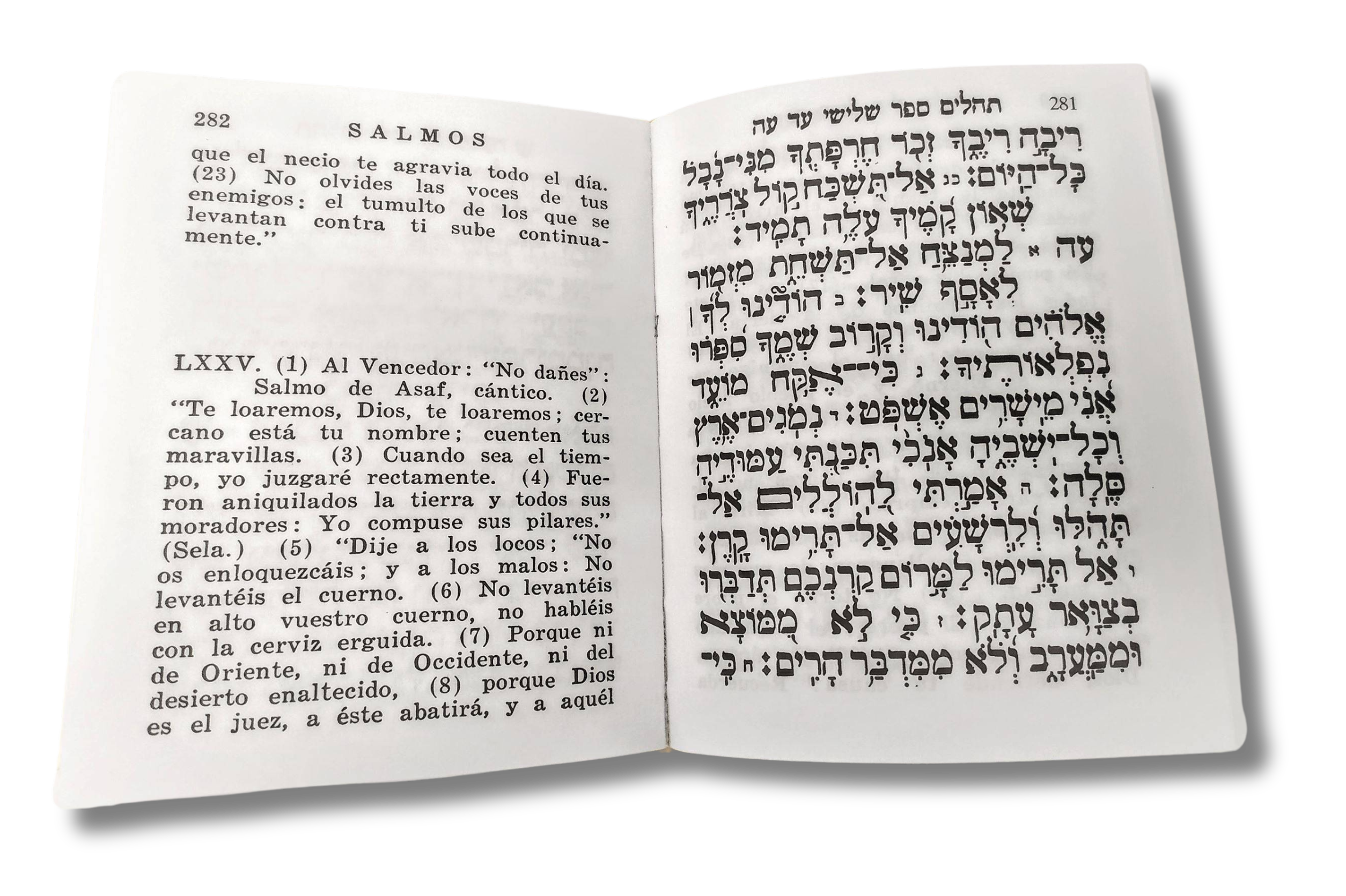 Salmos Sinai hebreo y español mediano