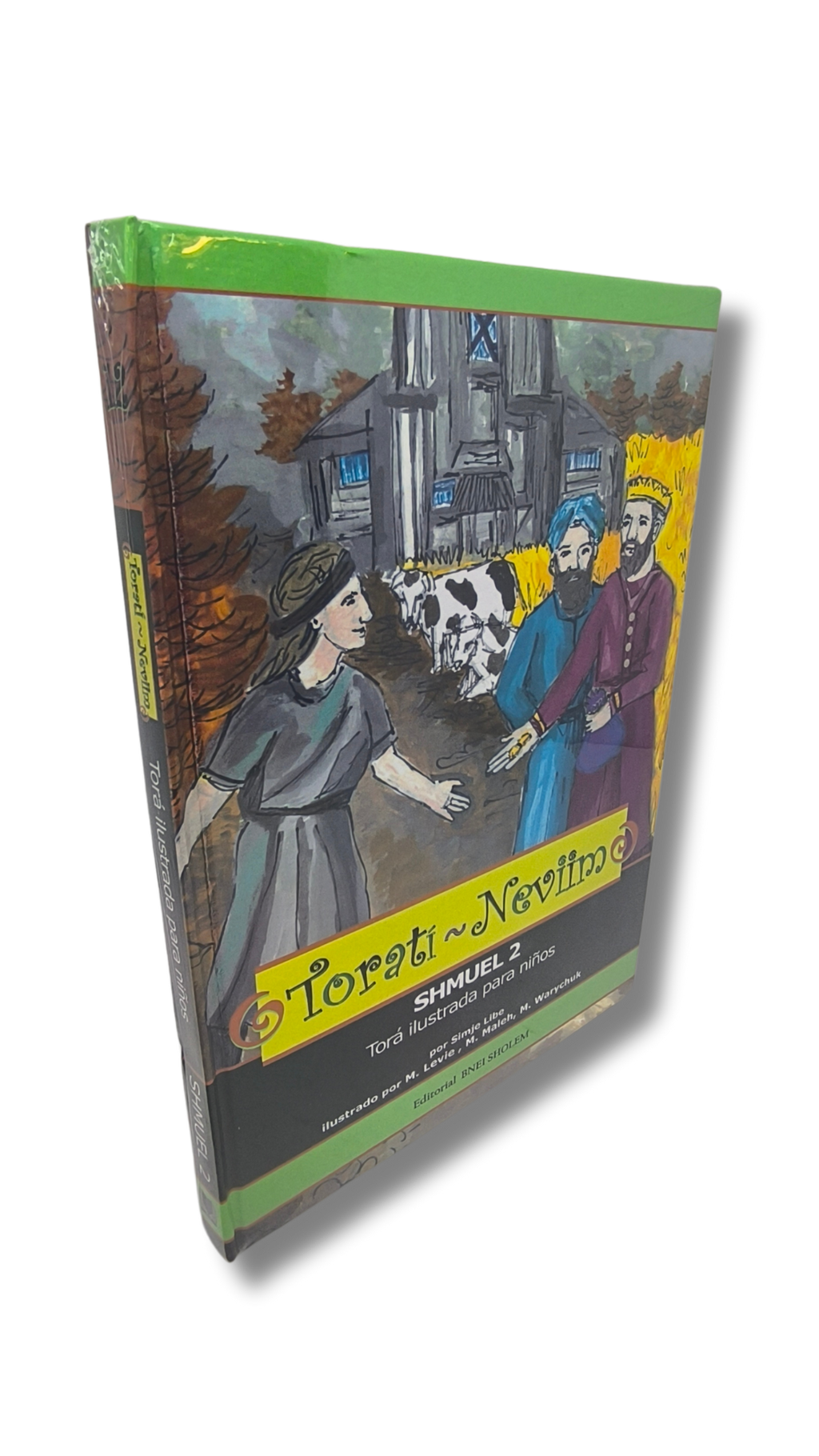 Torati Neviim 12 (Tora ilustrada para niños Shmuel 2)