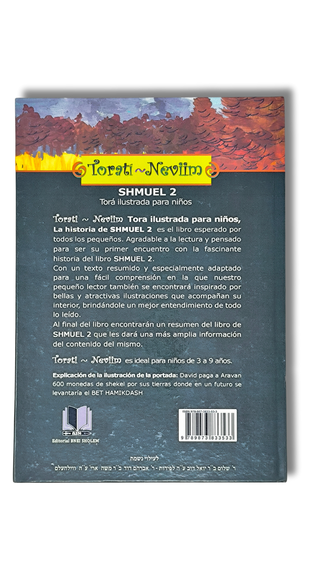 Torati Neviim 12 (Tora ilustrada para niños Shmuel 2)
