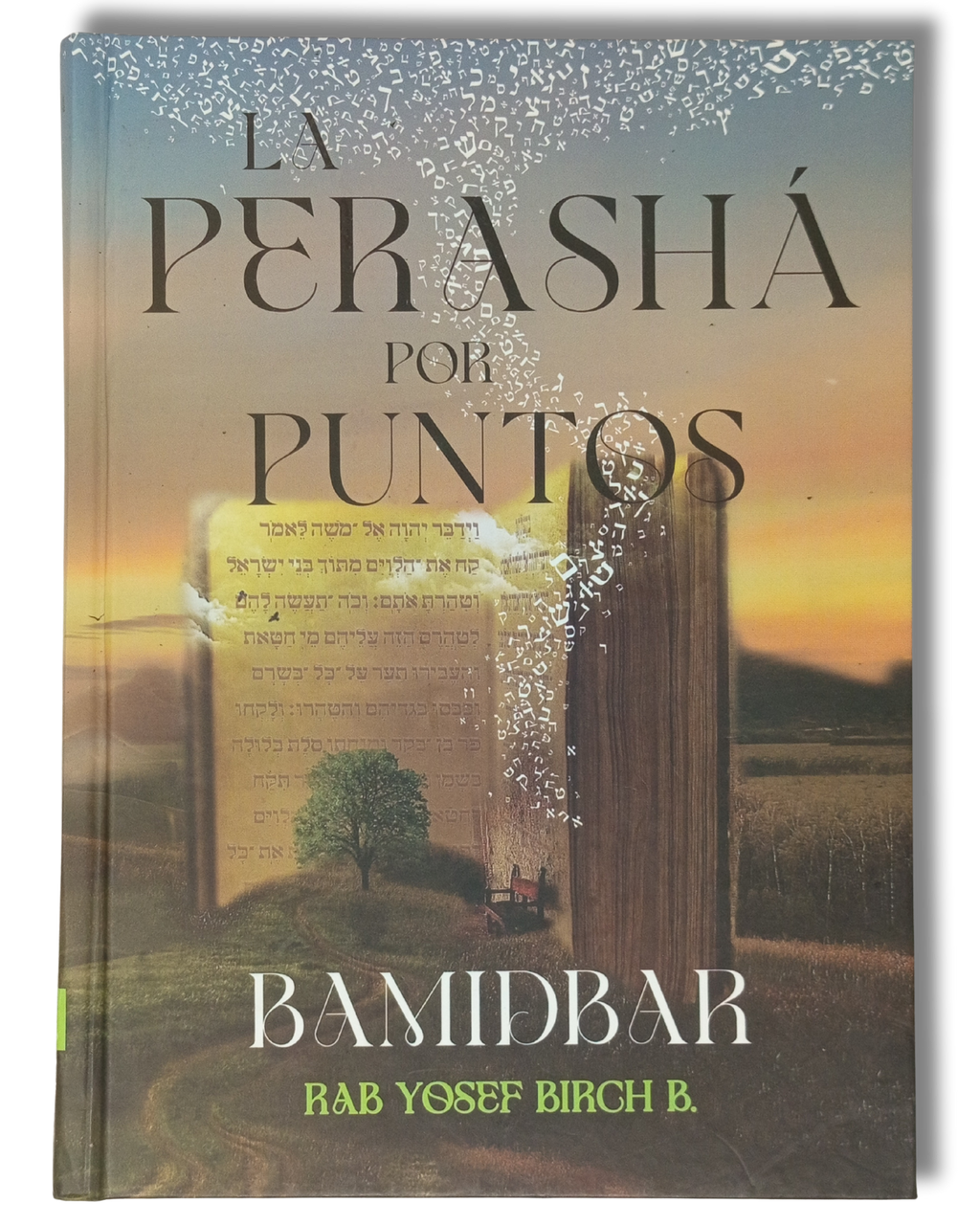 La Perasha por Puntos Bamidbar