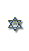 Magen David &amp; Menora Pin 11285