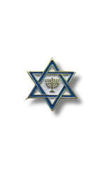 Pin  Maguen David & Menora 11285