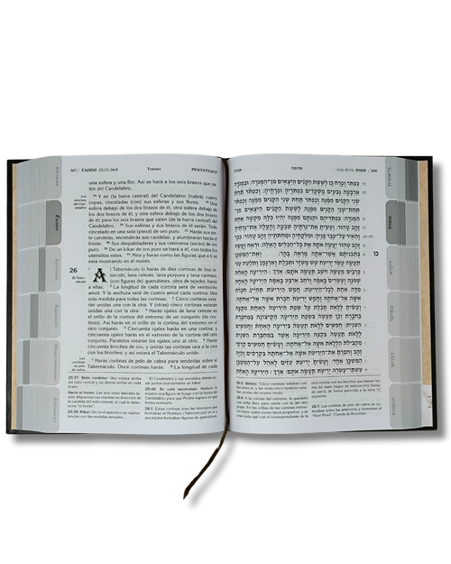 Biblia Tanaj Katz Set/Juego 4 tomos