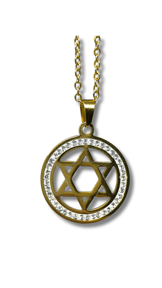 Magen David necklace with diamonds 13004