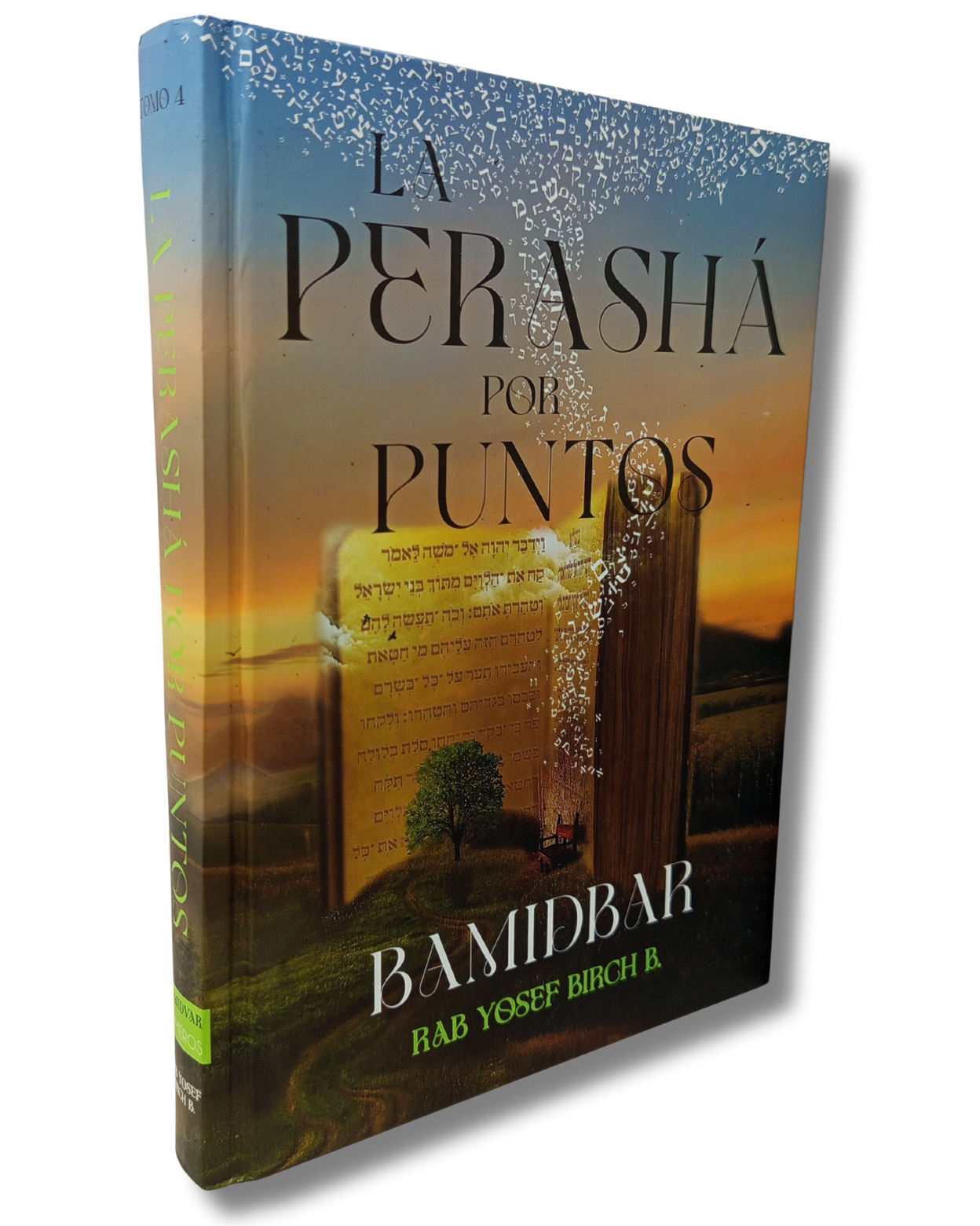 La Perasha por Puntos Bamidbar