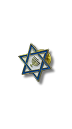 Pin  Maguen David & Menora 11285